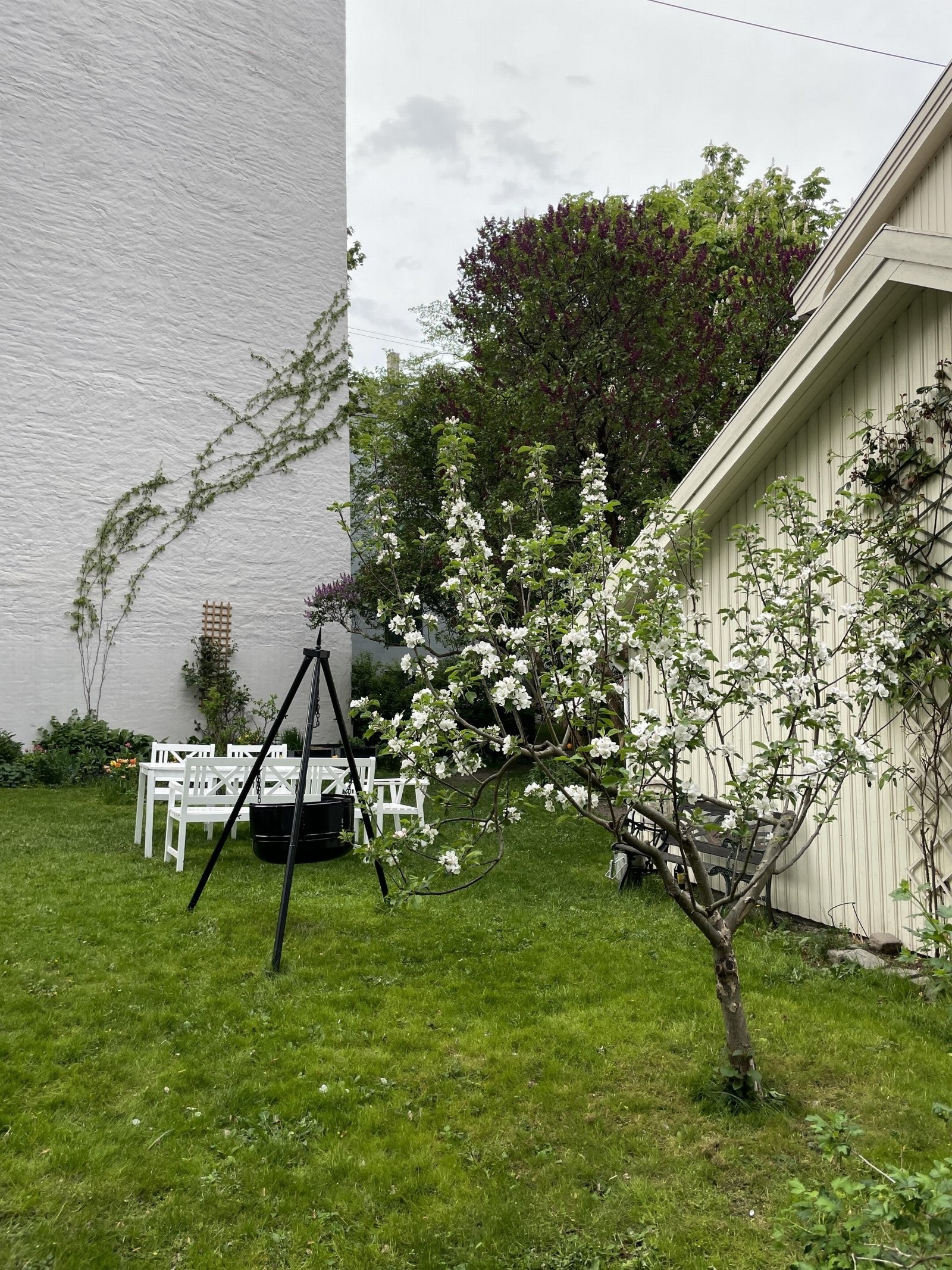 Selgers private bilde. Galleribilde