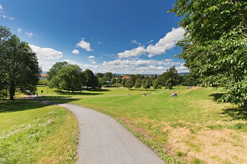 Tøyenparken er ogsa like ved. Galleribilde