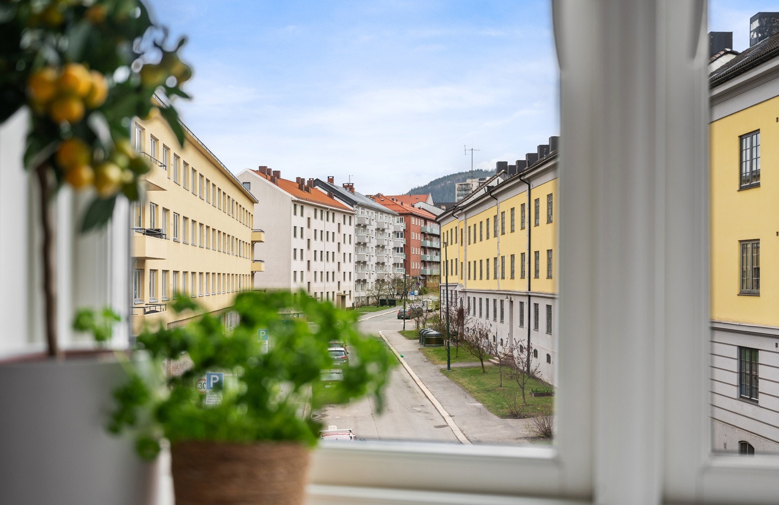 Åpent, luftig utsyn fra alle vinduene. Galleribilde