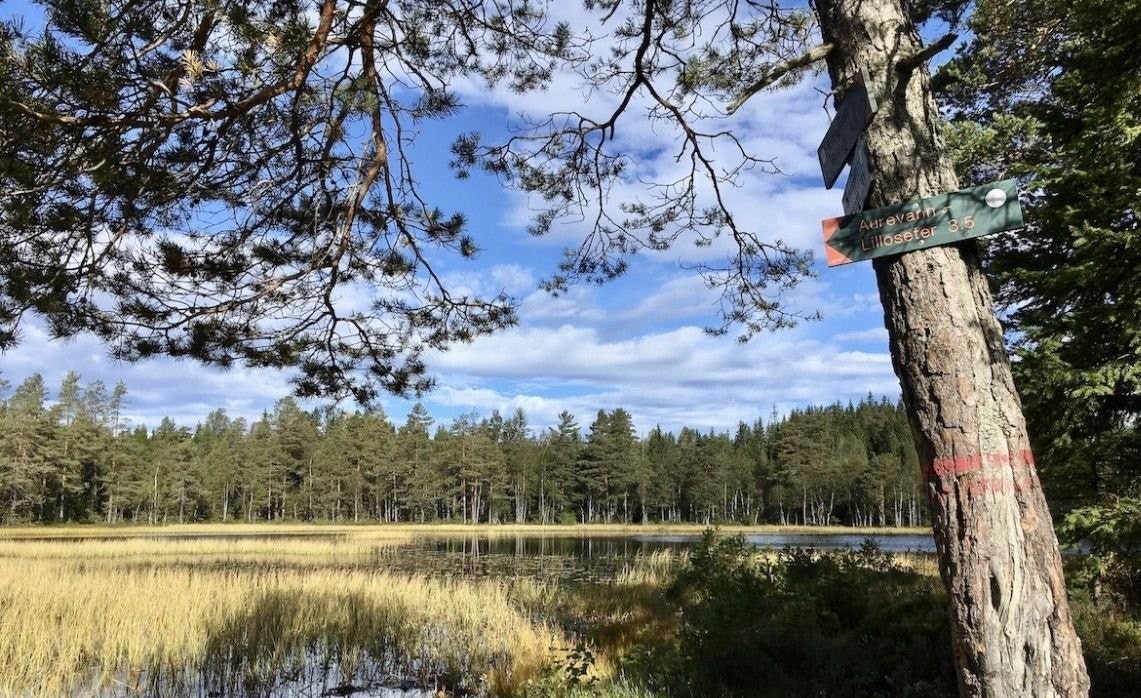 Gode turmuligheter i kort avstand, sommer som vinter. Galleribilde