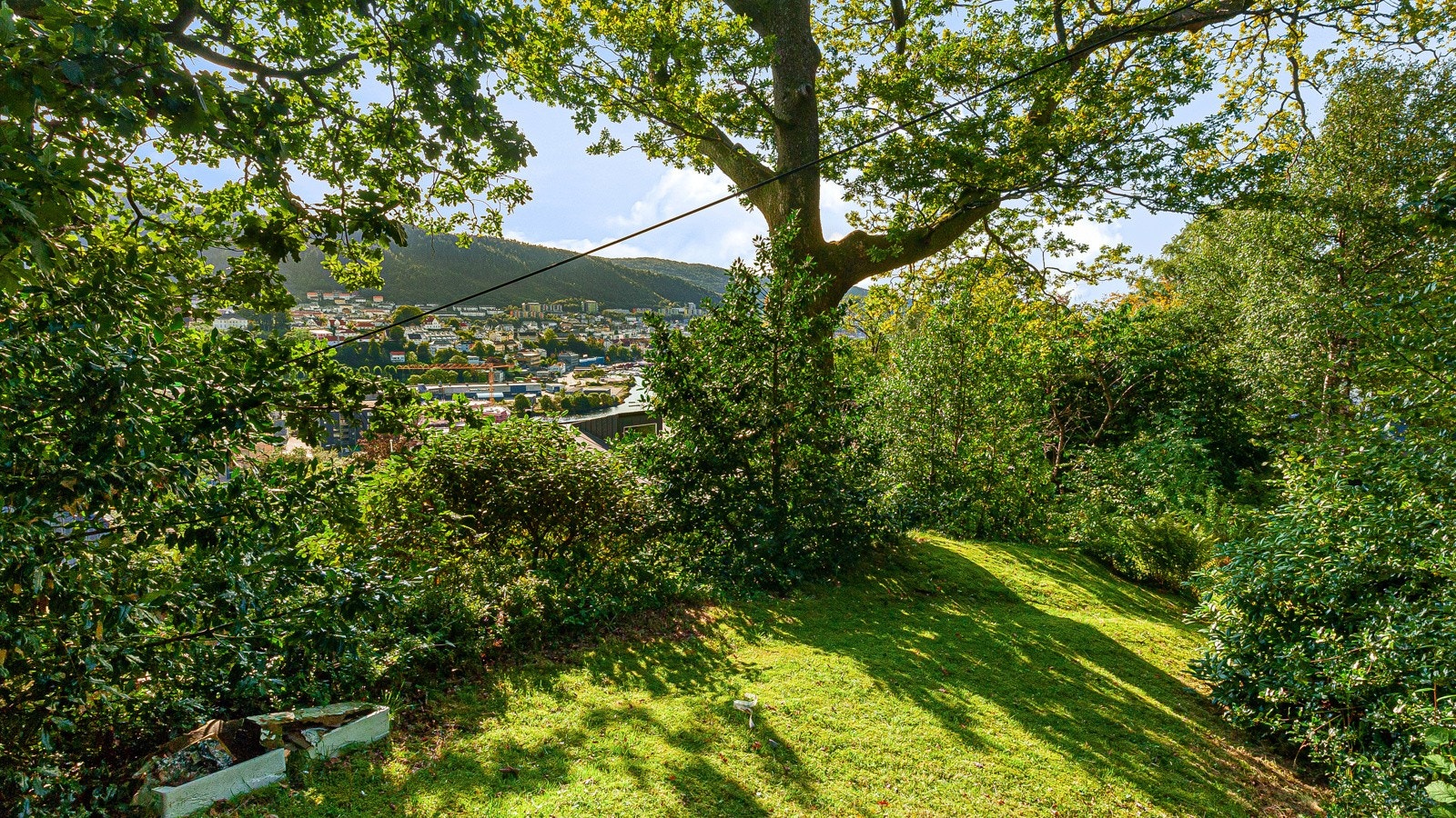 En drømmetomt for barna. Her er det mye å utforske. Galleribilde