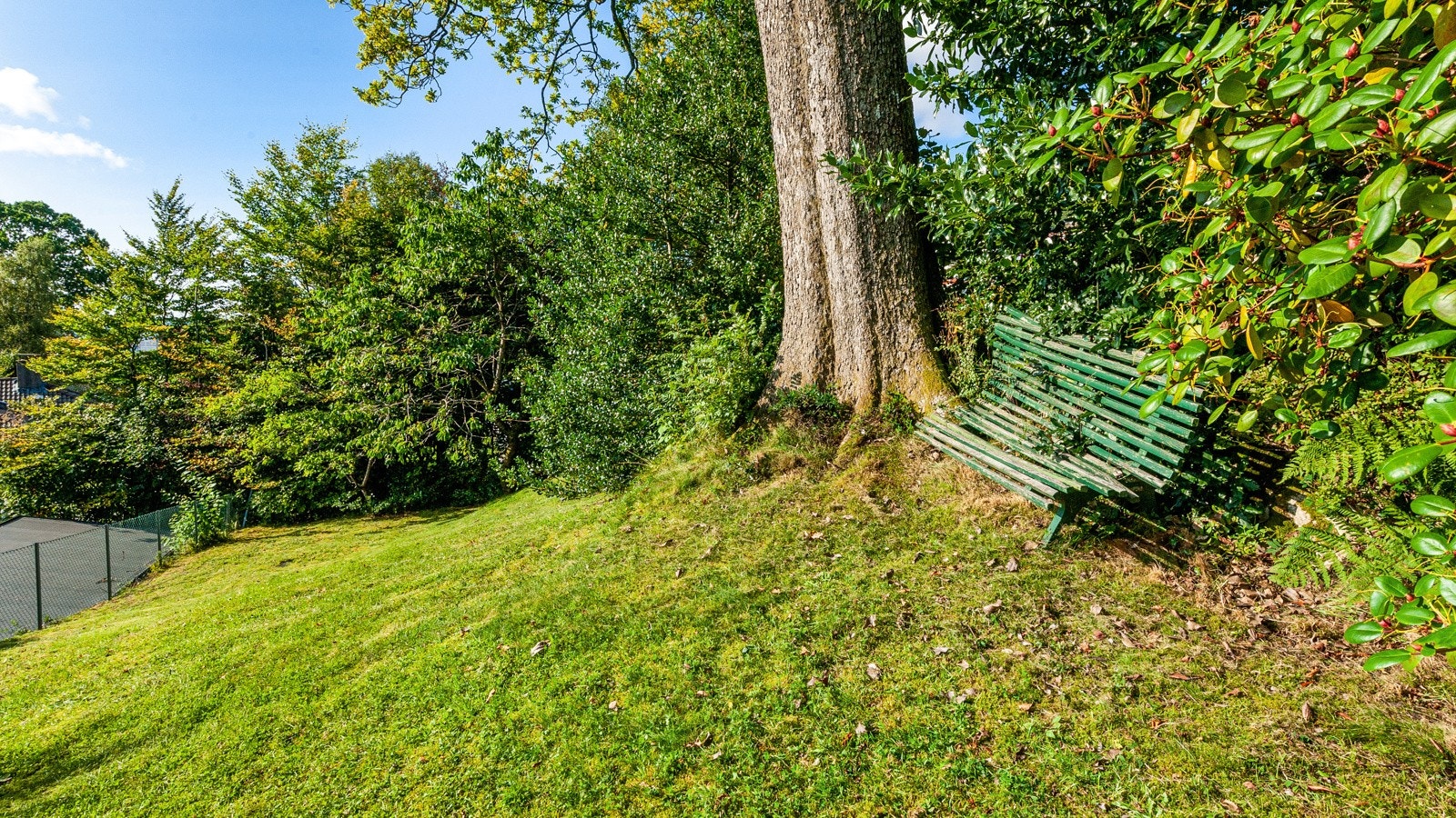 Barnas drømmehage Galleribilde
