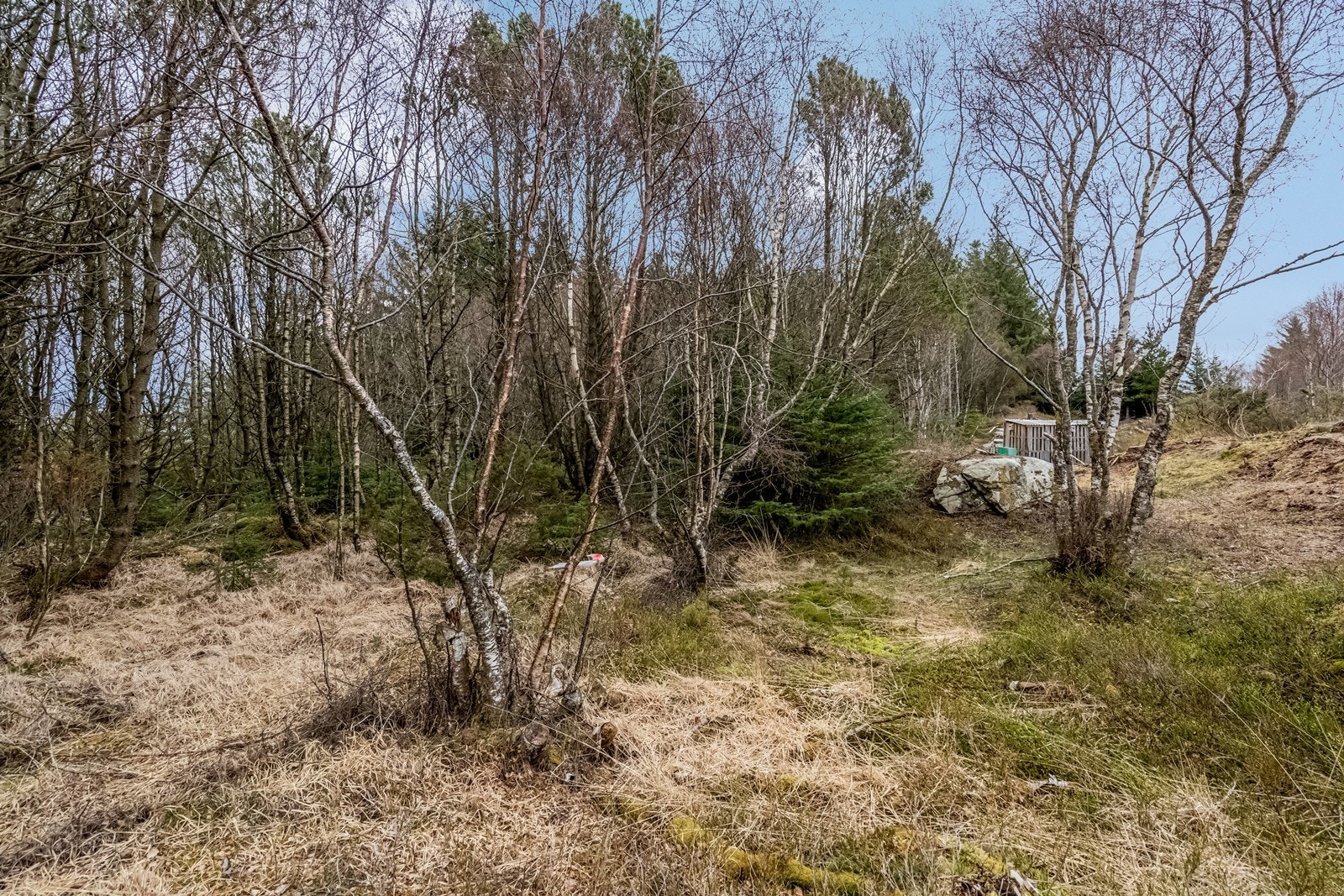 Råtomt Galleribilde