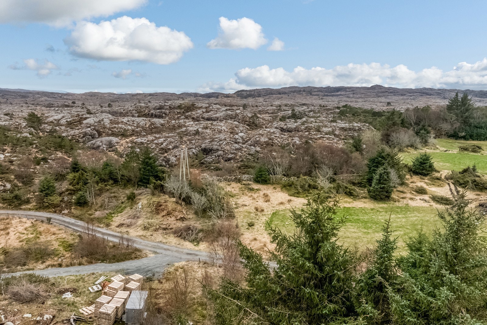 Naturen er nærmste nabo Galleribilde
