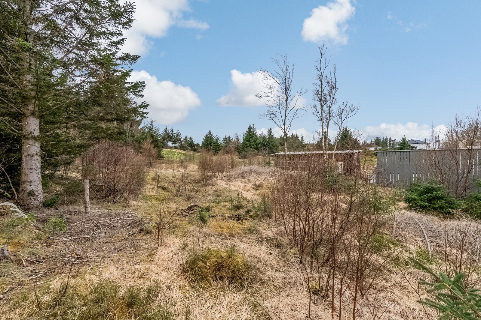 Råtomt Galleribilde