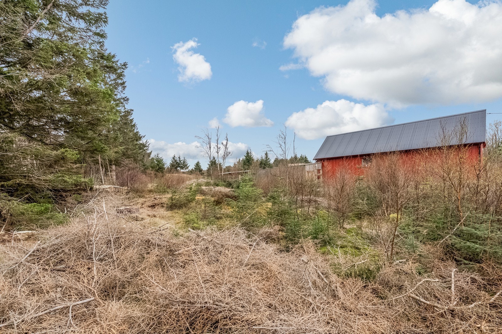 Råtomter som selges Galleribilde