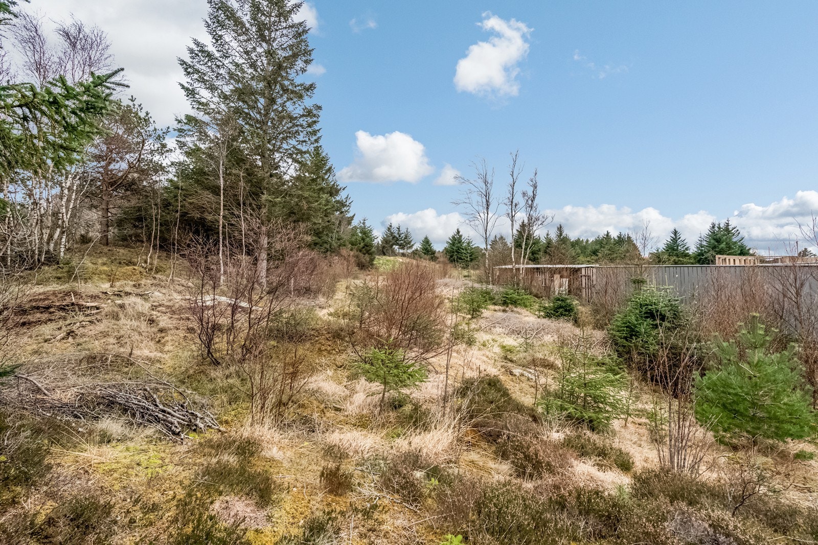 Råtomt Galleribilde