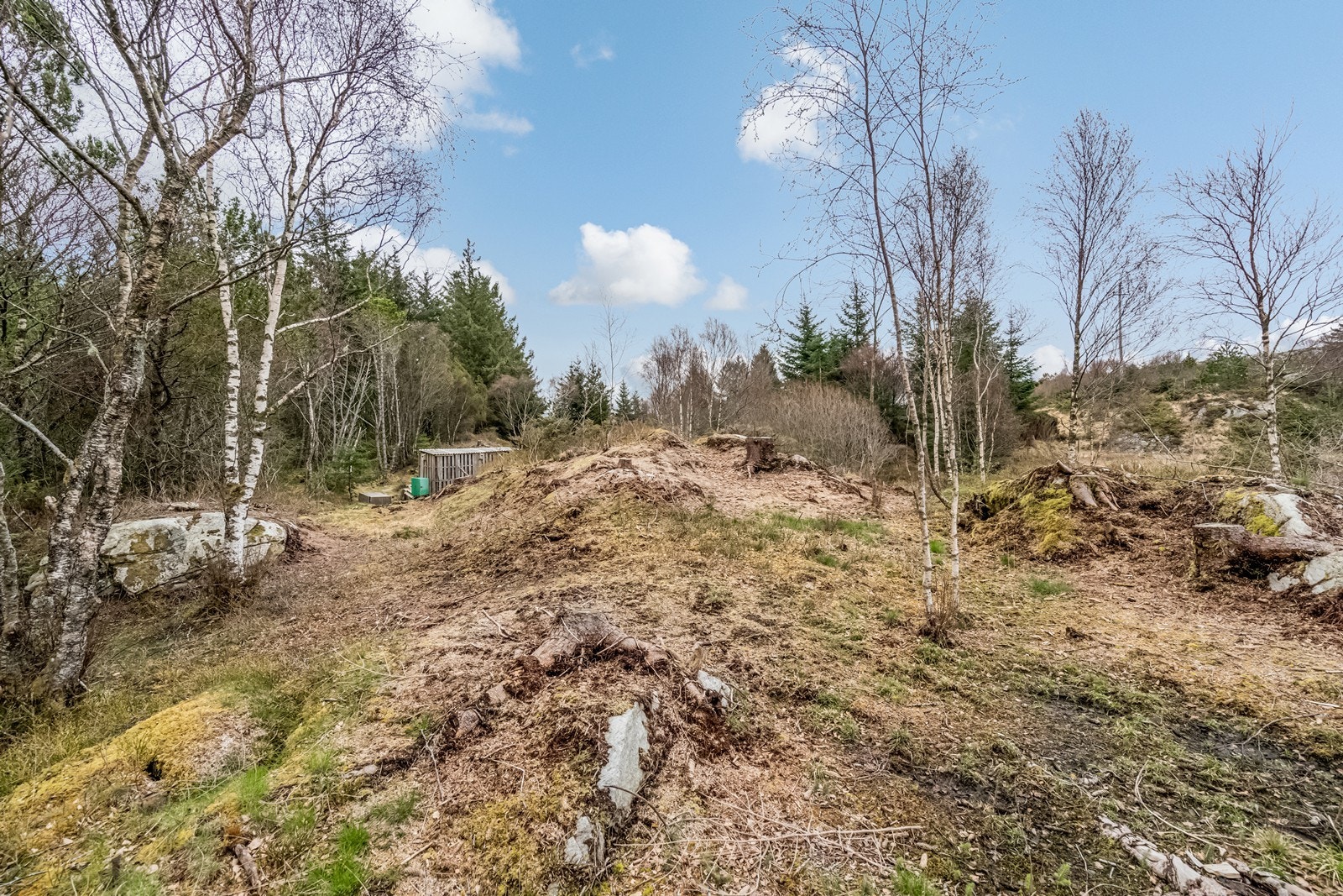 Råtomt Galleribilde