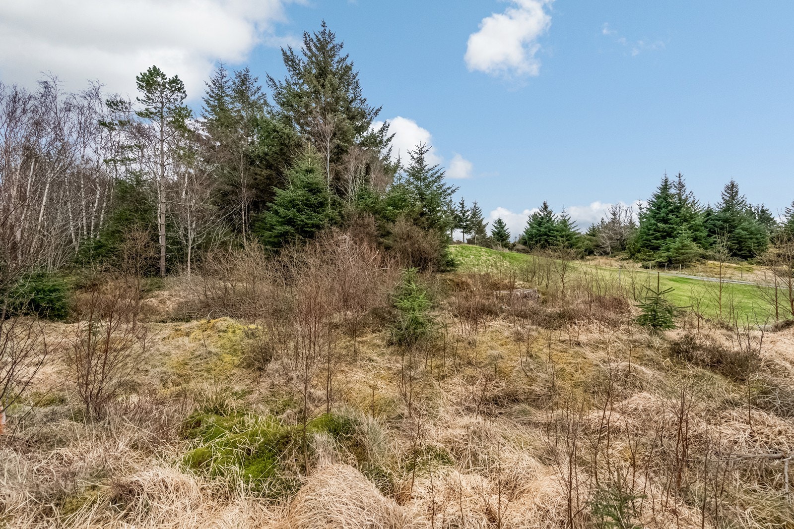 Råtomt Galleribilde