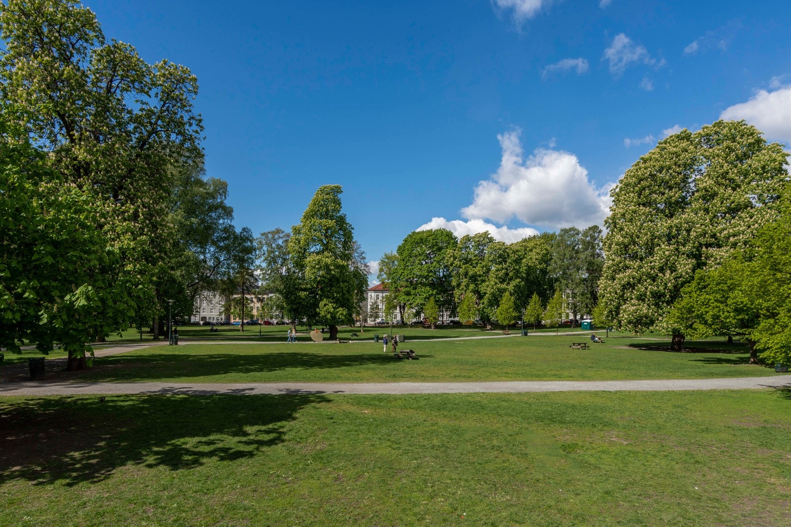 - Nærområde: Det er flere parkdrag i området, som f.eks Torshovdalen, Sofienbergparken, Botanisk hage og Tøyenparken. - Galleribilde
