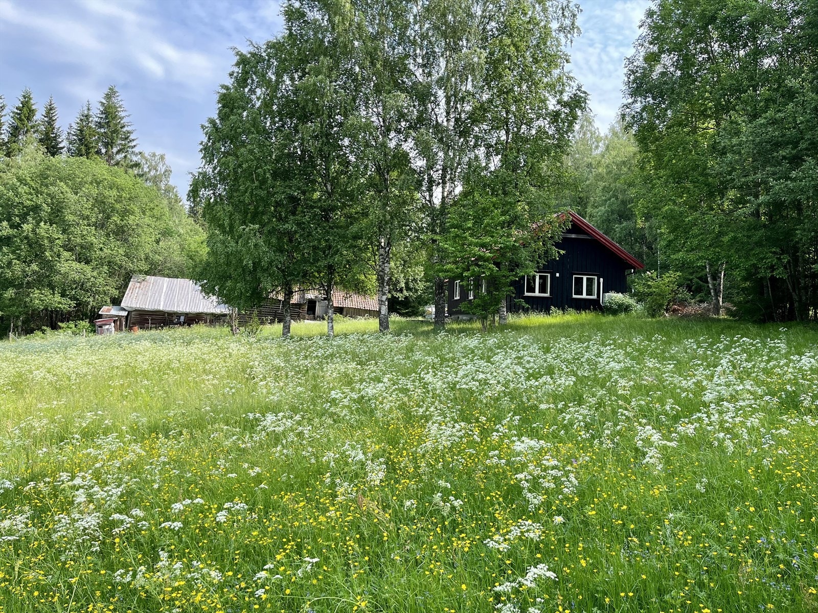 Idyllisk beliggenhet med et lite jorde på nedsiden av boligen Galleribilde