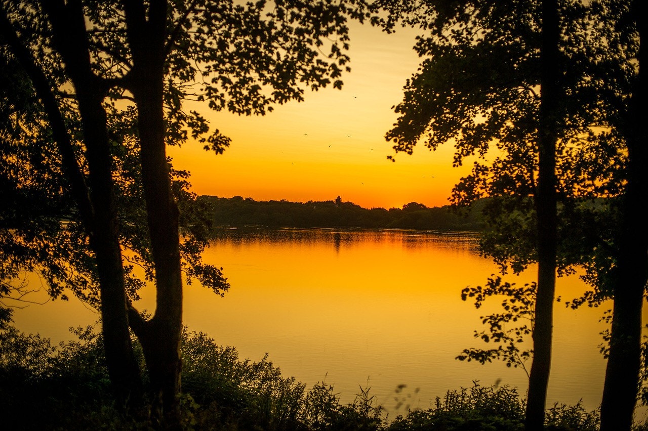 Flotte Mosvannet "by night" som ligger i gåavstand til leiligheten Galleribilde