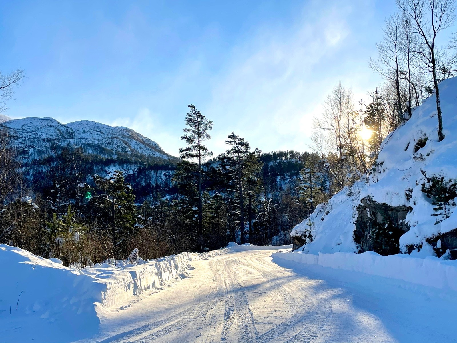 Fra vei opp til hyttefeltet Galleribilde