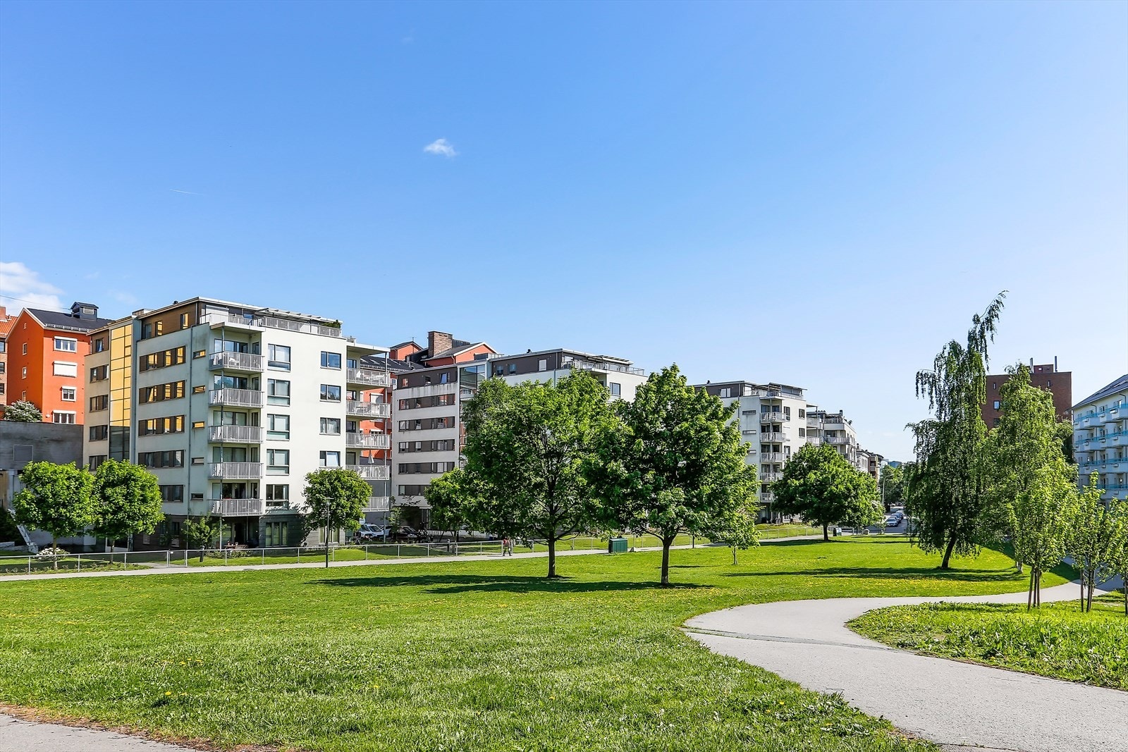 Iladalen er et fantastisk parkområde med mulighet for trening, soling, grilling m.m. Galleribilde