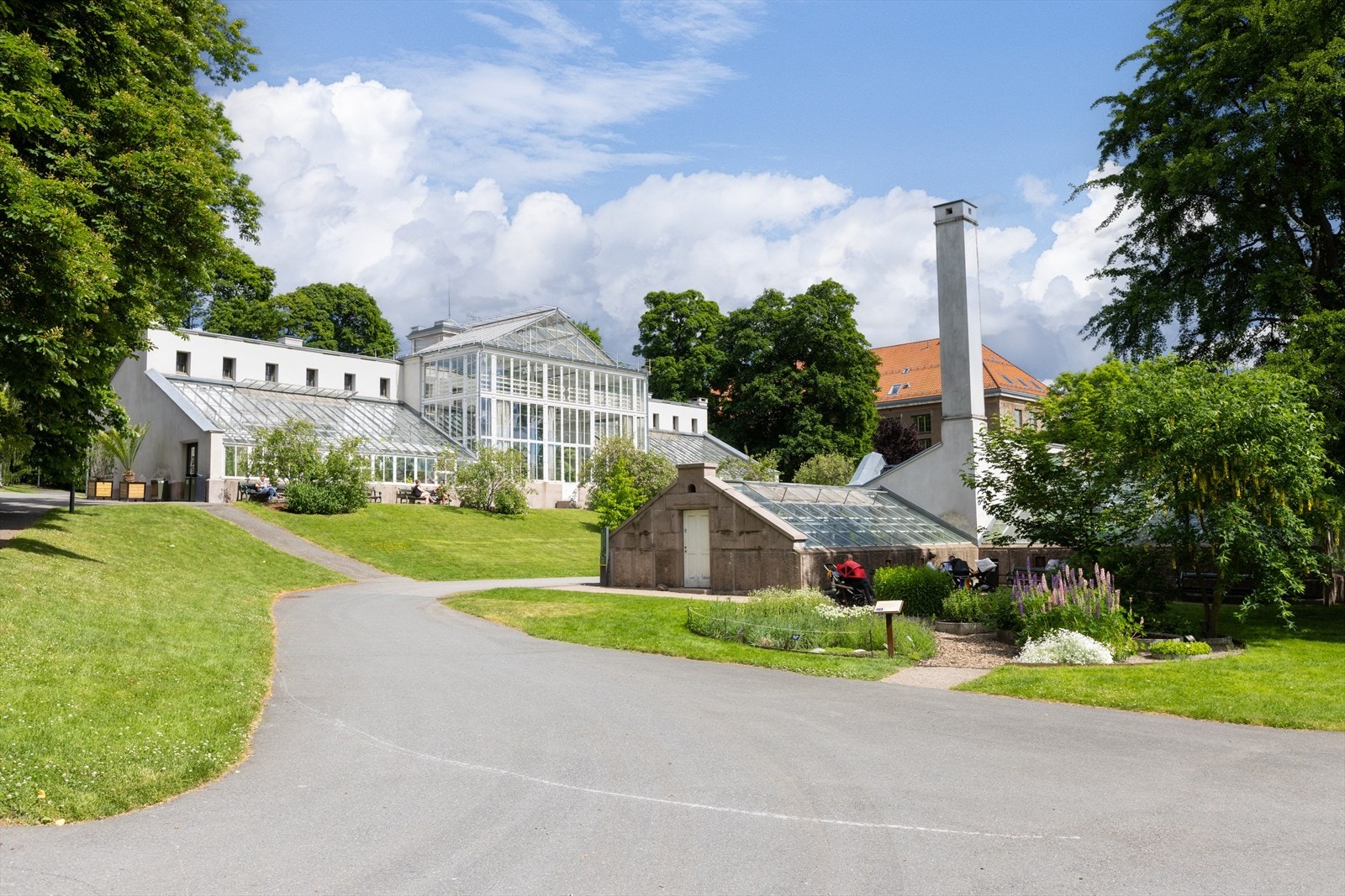 Palmehuset som ligger i botanisk hage (Naturhistorisk museum). Galleribilde