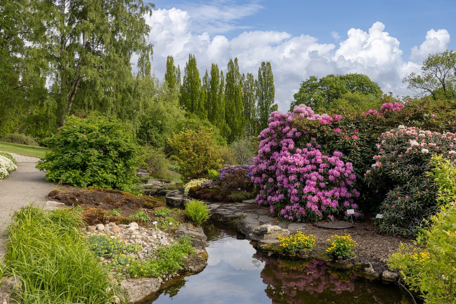 Botanisk hage i nærområdet. Galleribilde