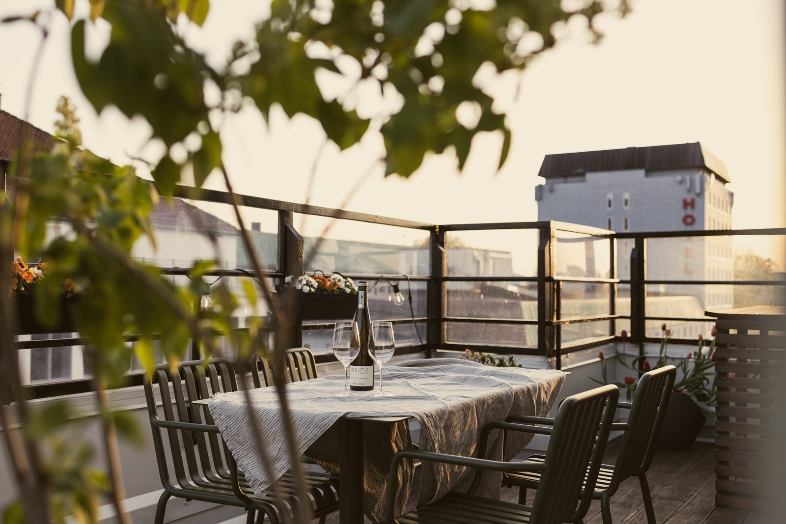 Herlig kveldsstemning på terrassen! Galleribilde