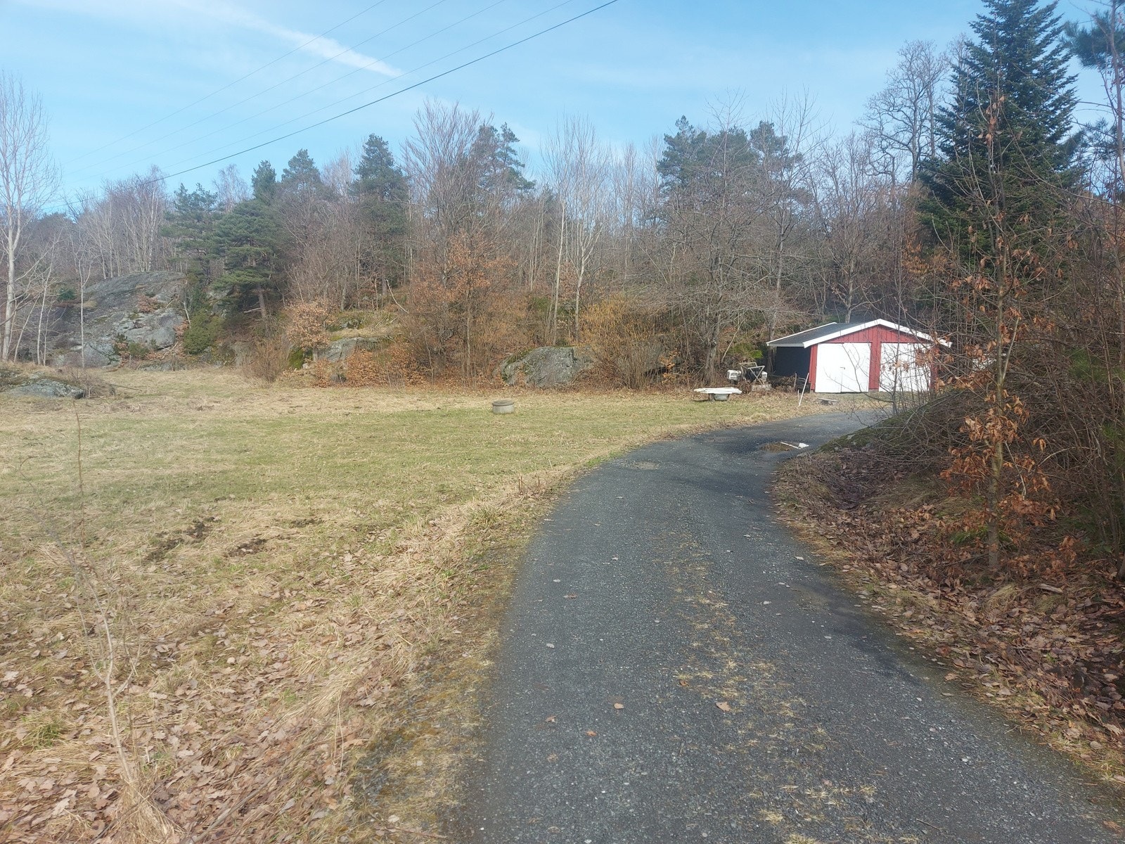 toms_settfraHestejorde Galleribilde