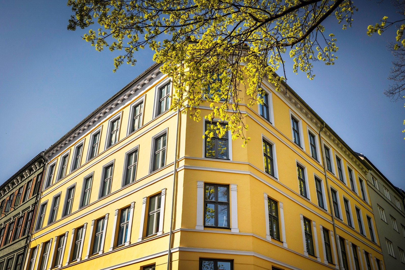 Biermannsg 12 Borettslag består av 20 andeler Galleribilde