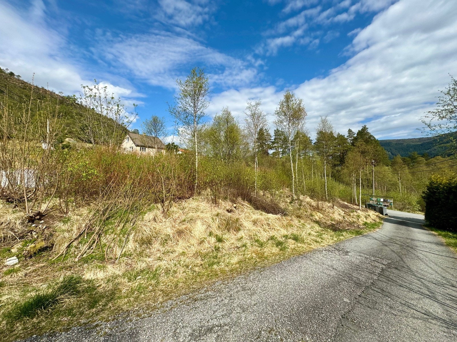 Skaffamyrane Galleribilde