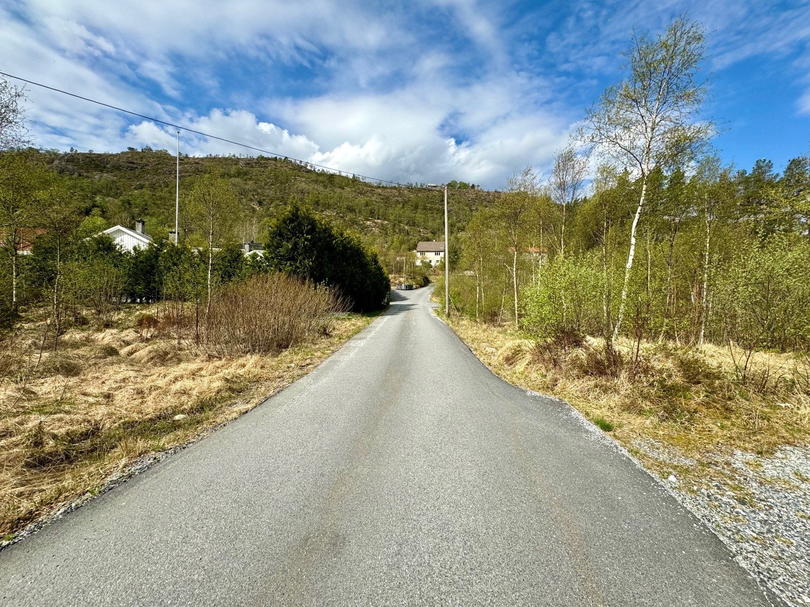 Veien deler tomten Galleribilde