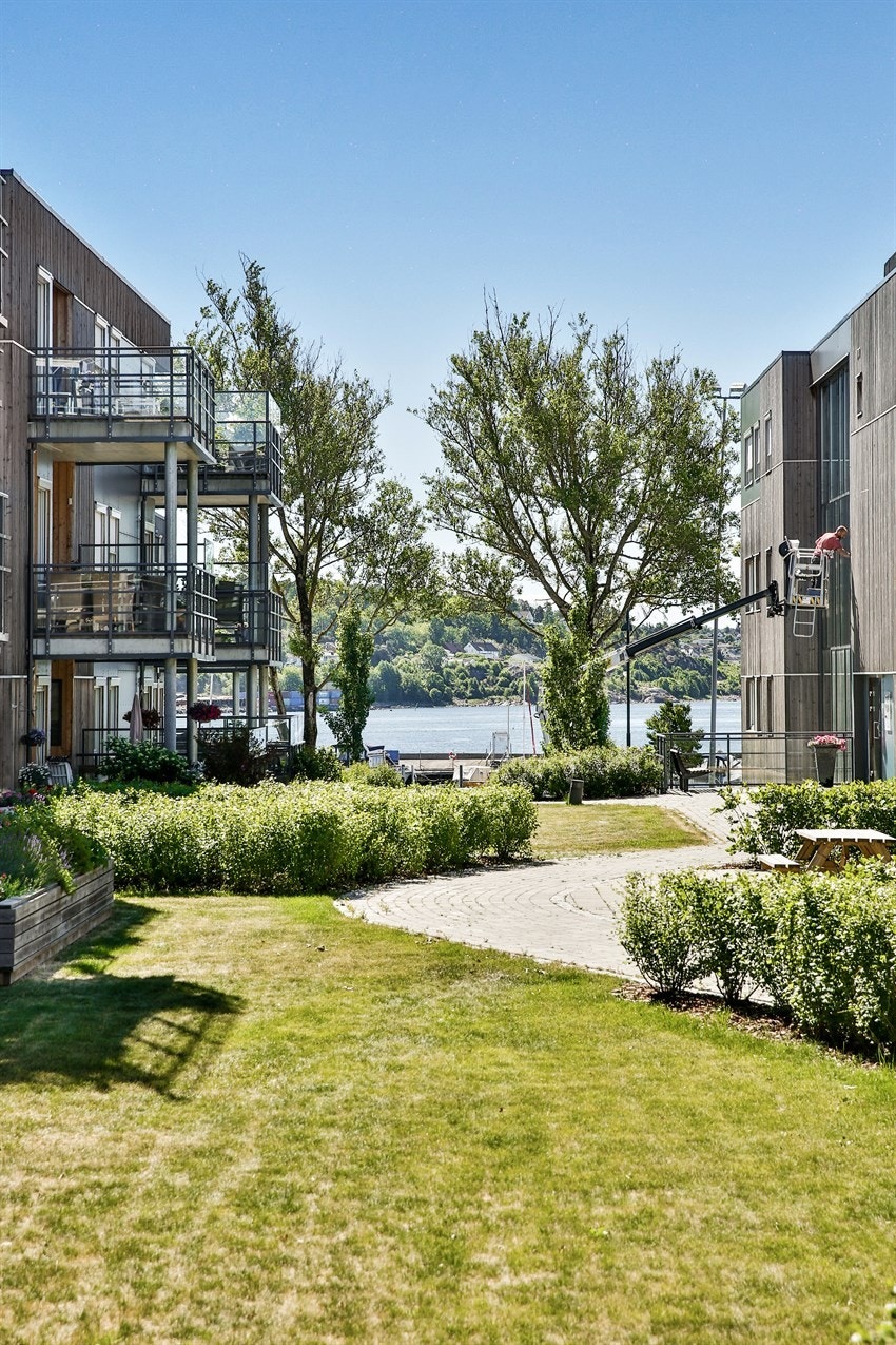 Grøntareal Galleribilde