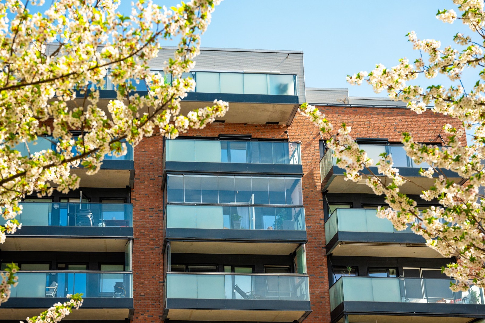 Fasade. Galleribilde