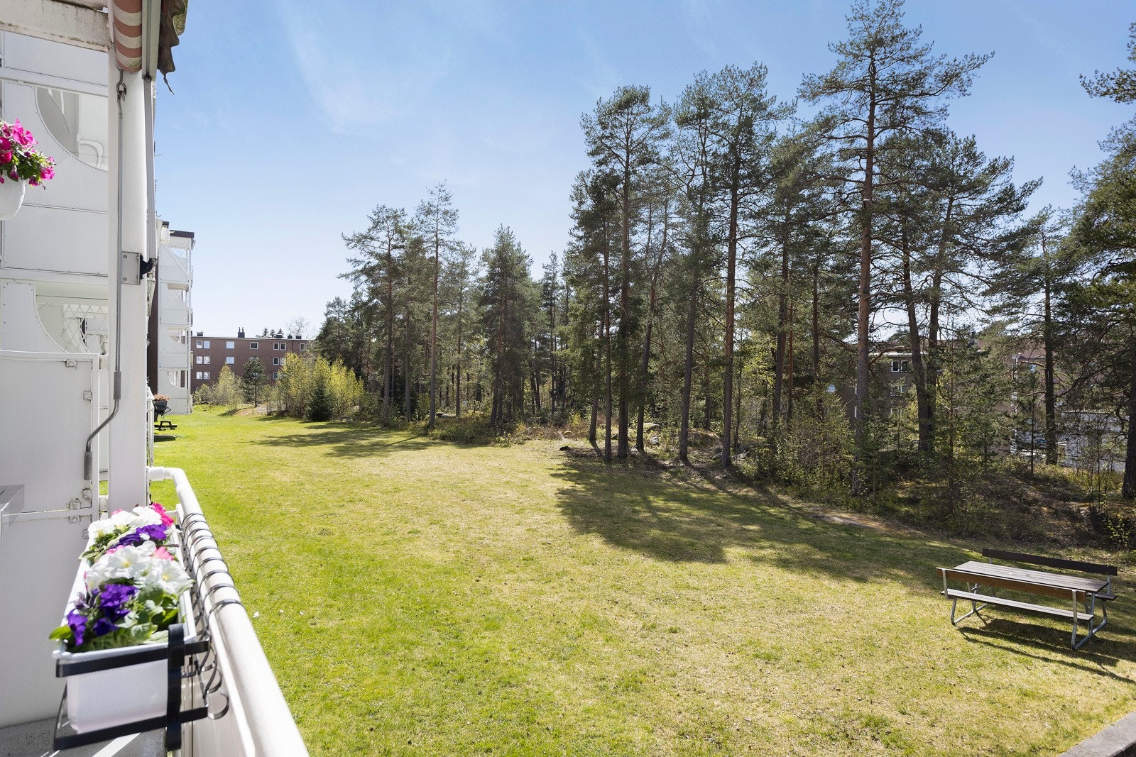 Hyggelig utsyn mot skogen Galleribilde