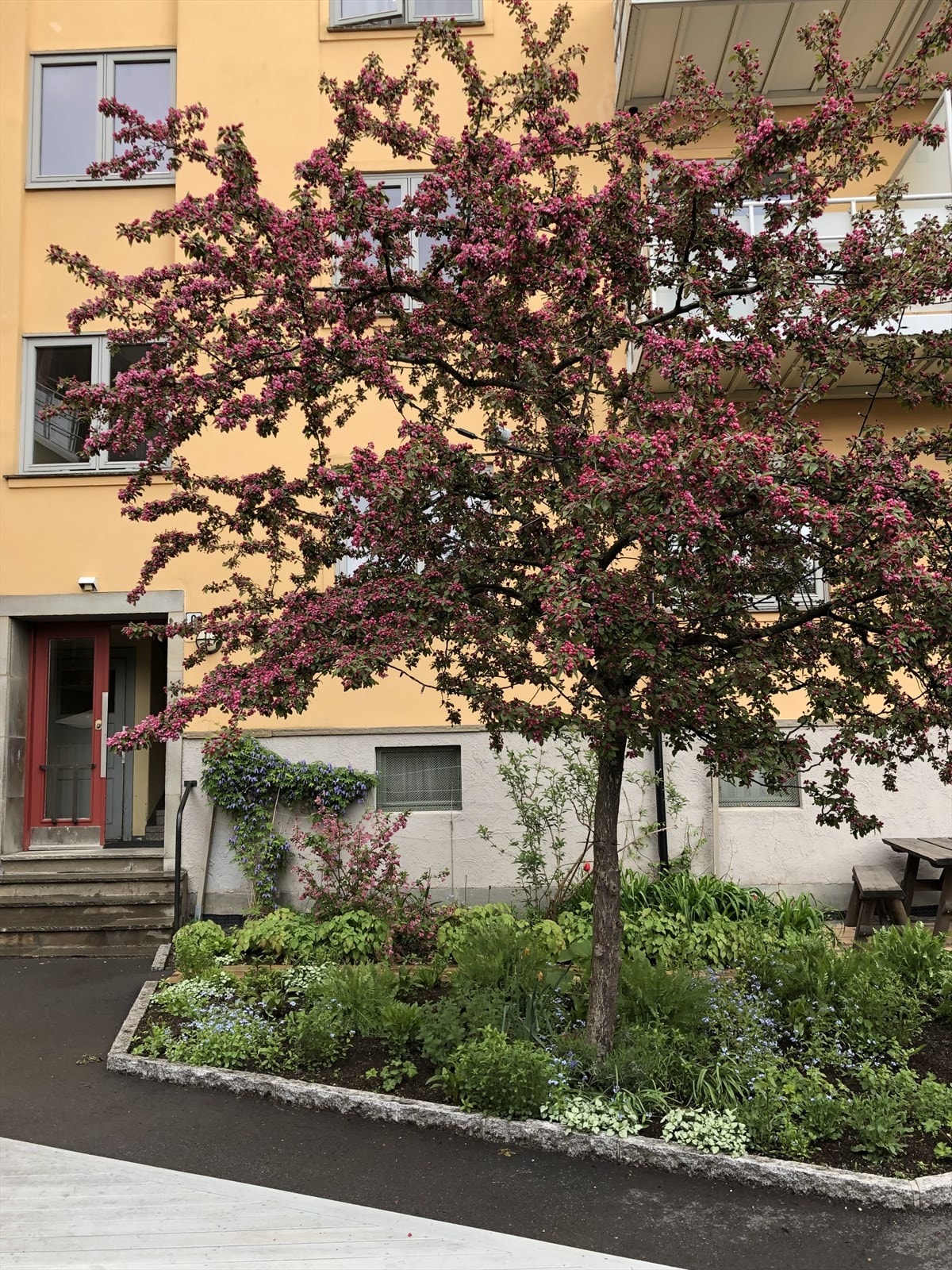 Inngangspartiet til oppgang 3c. Selgers eget bilde. Galleribilde