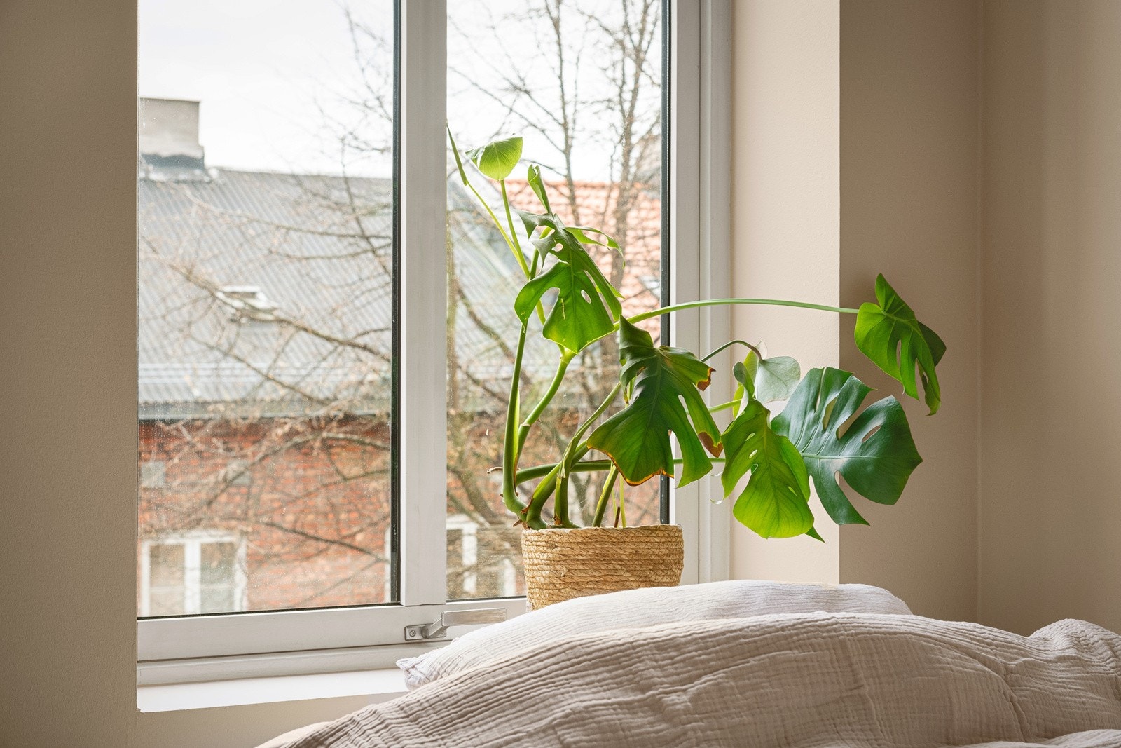 Dette soverommet vender mot Lakkegata. En enveiskjørt gate med svært lite biltraffikk. Galleribilde