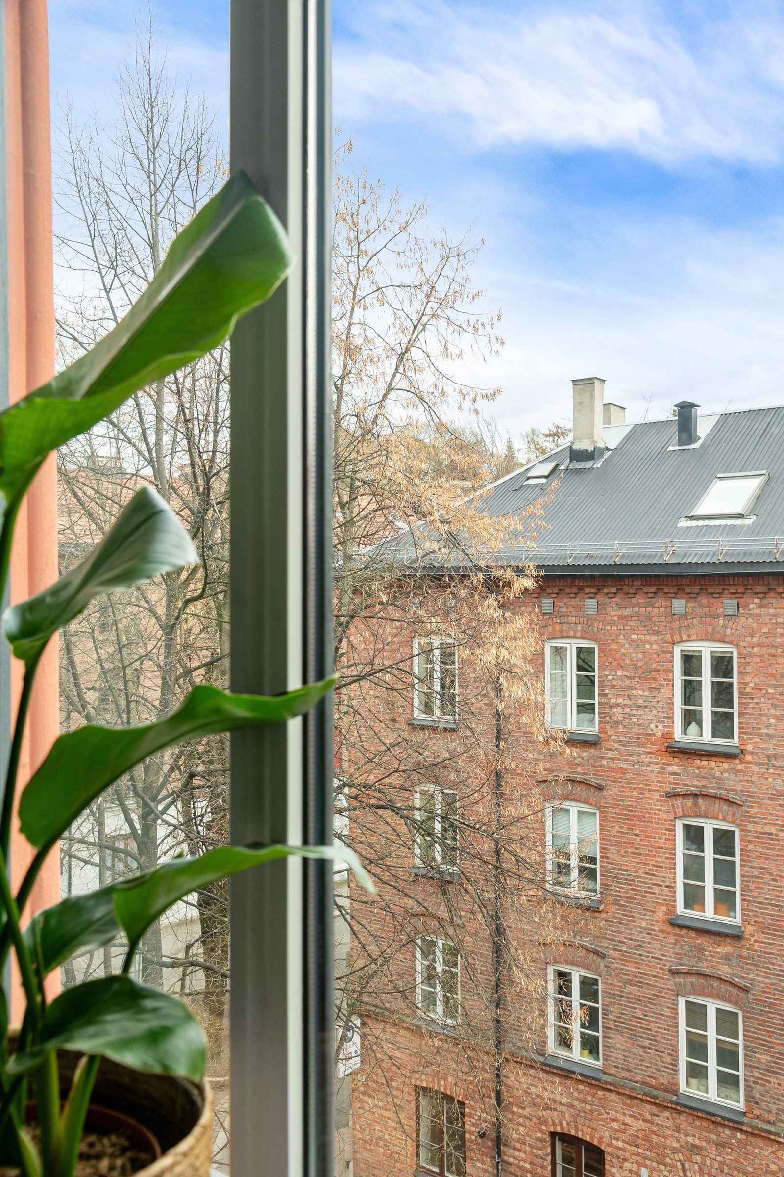 Oppholdsrommet og det ene soverommet vender ut mot Lakkegata og vakre Gråbeinskvartalet. Galleribilde