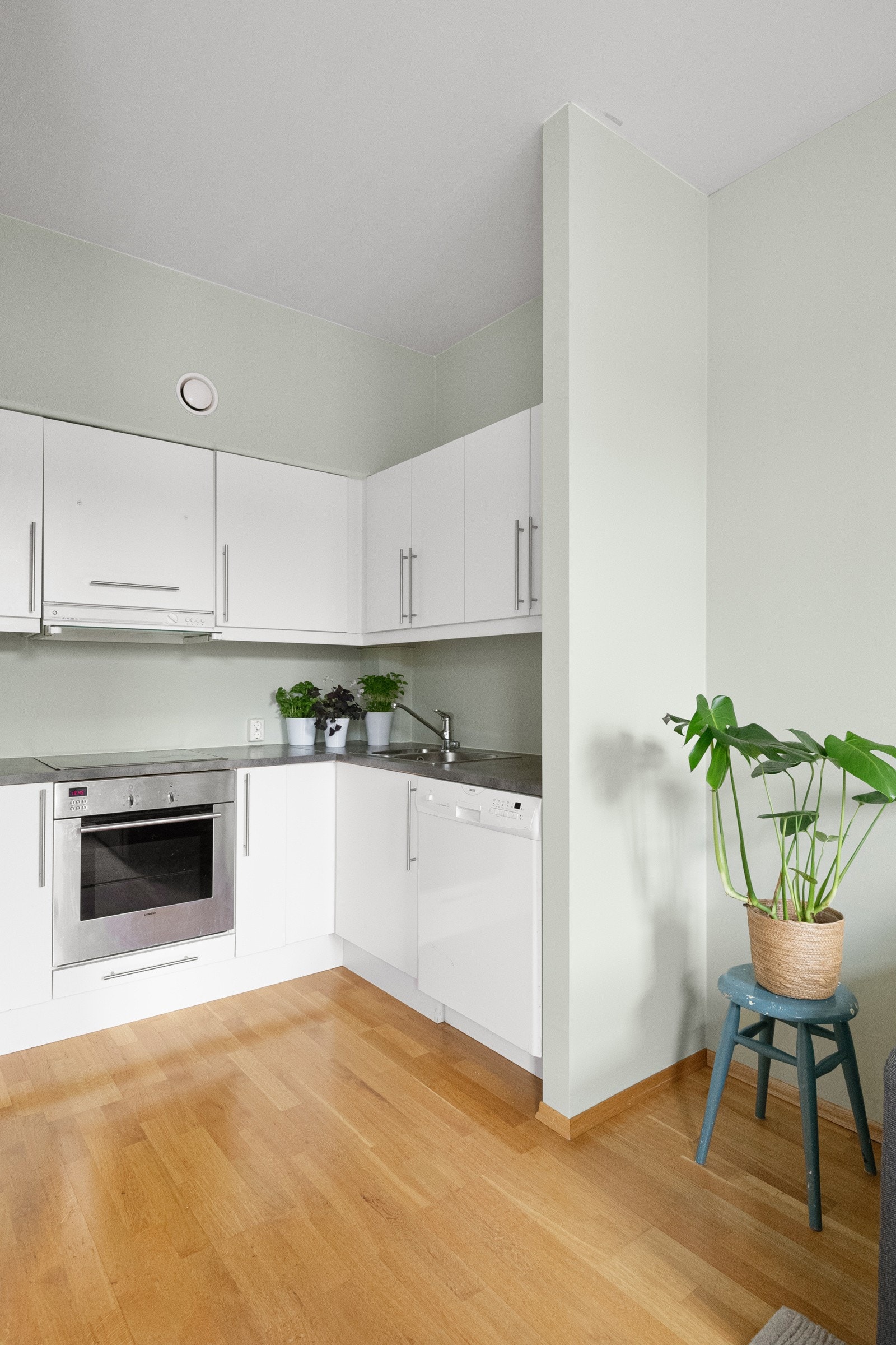 Flere skap gir bra med lagringspass på kjøkkenet. Kjøkkenet er nylig malt. Galleribilde