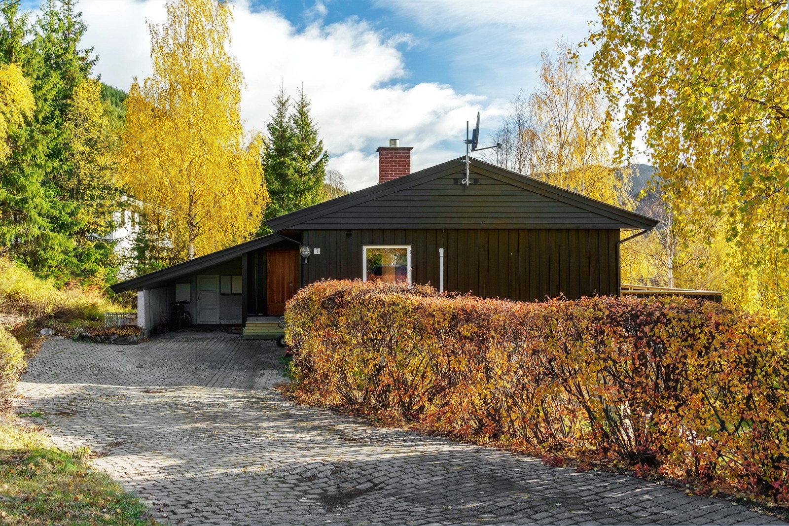 Det er god plass til parkering på tomten samt i carport. Galleribilde