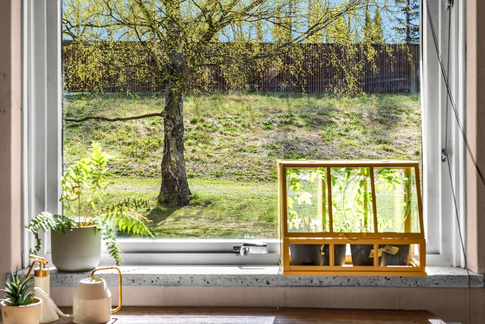 Vinduet gir godt med dagslys til kjøkkenet. Galleribilde