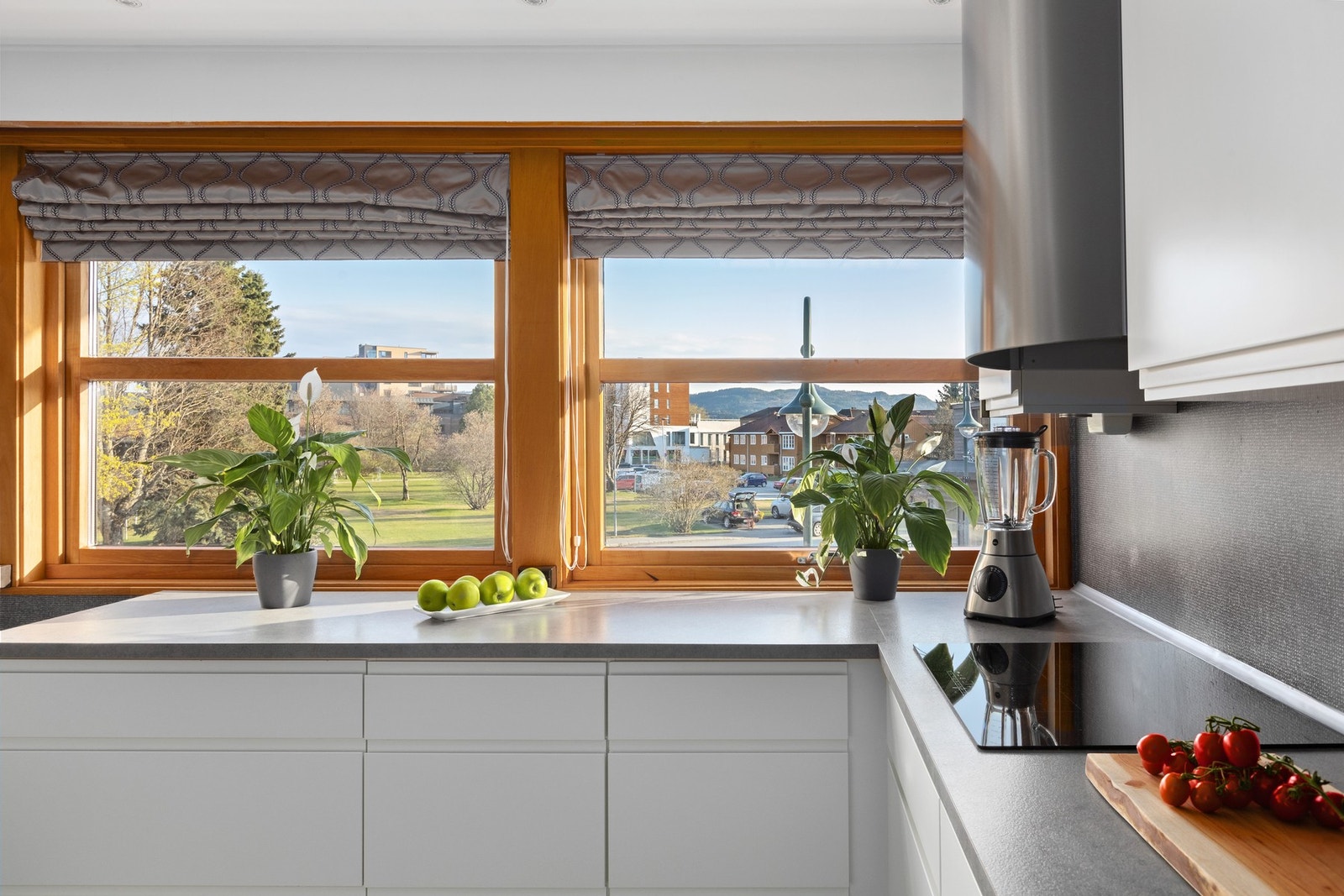 Det er integrert stekovn, platetopp og oppvaskmaskin. Galleribilde