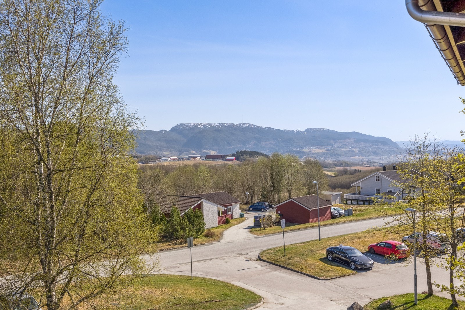 Velkommen til visning! Galleribilde