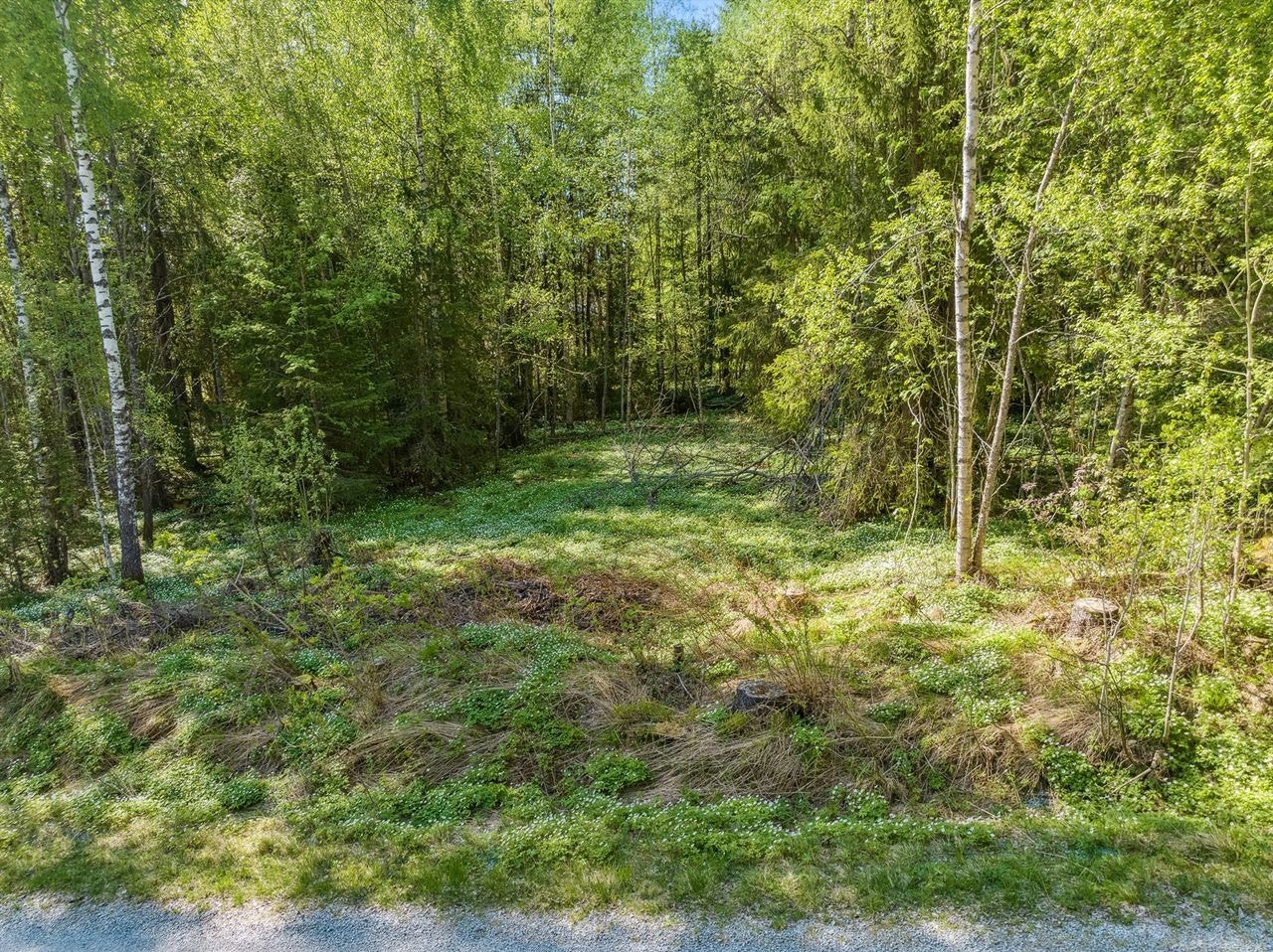 Tomten kan fritt besiktiges på egen hånd. Galleribilde