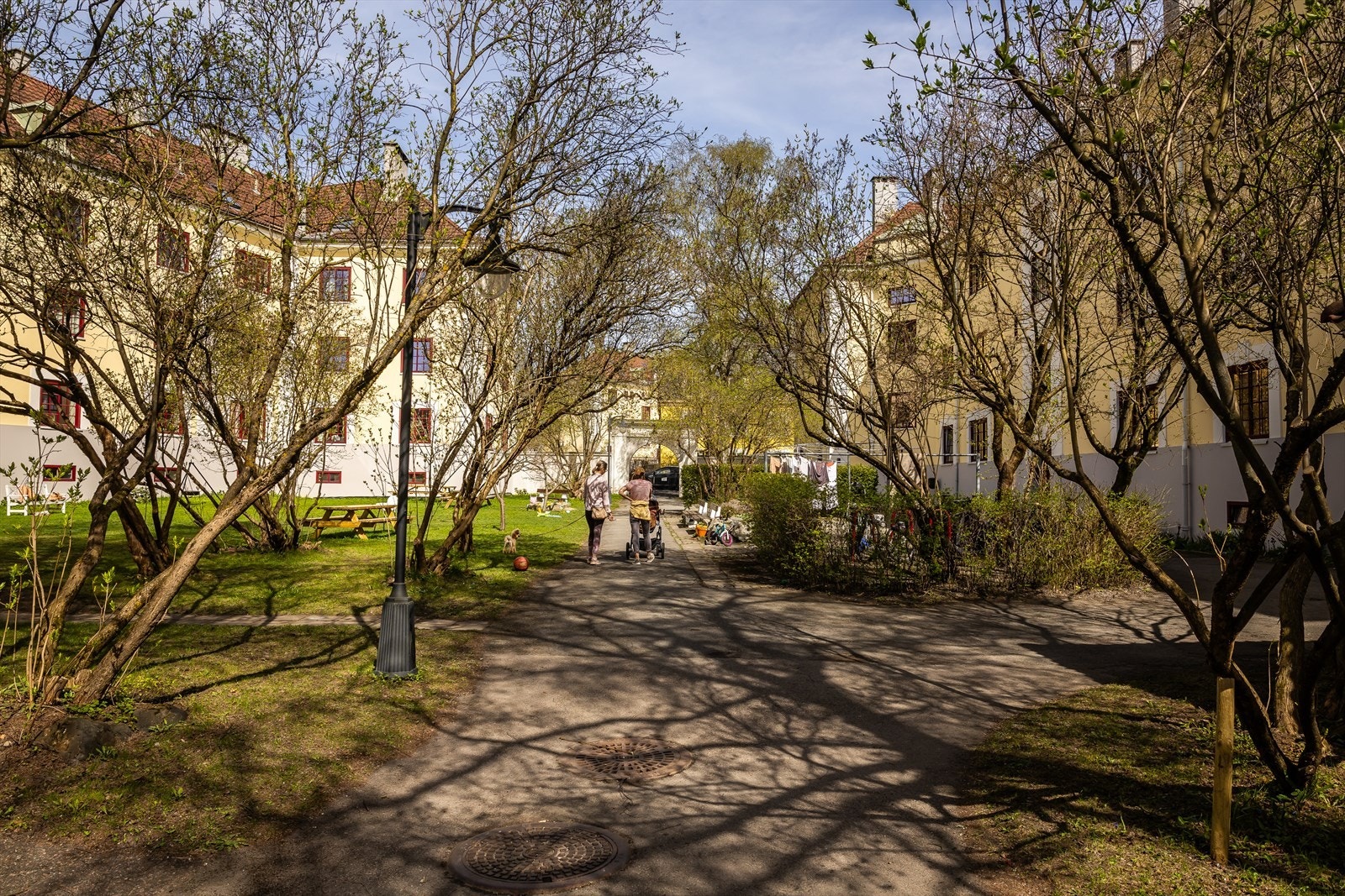 Hyggelig adkomst inn til leilighetens gårdsrom Galleribilde