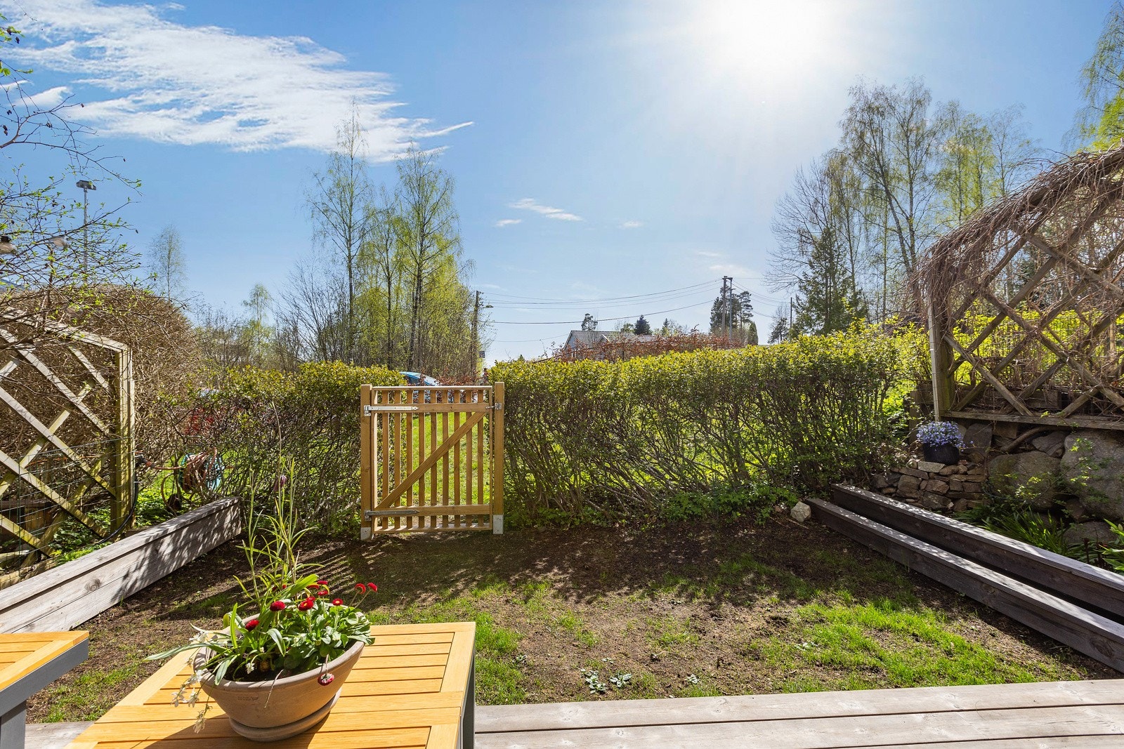 Ny beplantning av gress vil blomstre vakkert til sommeren. Galleribilde