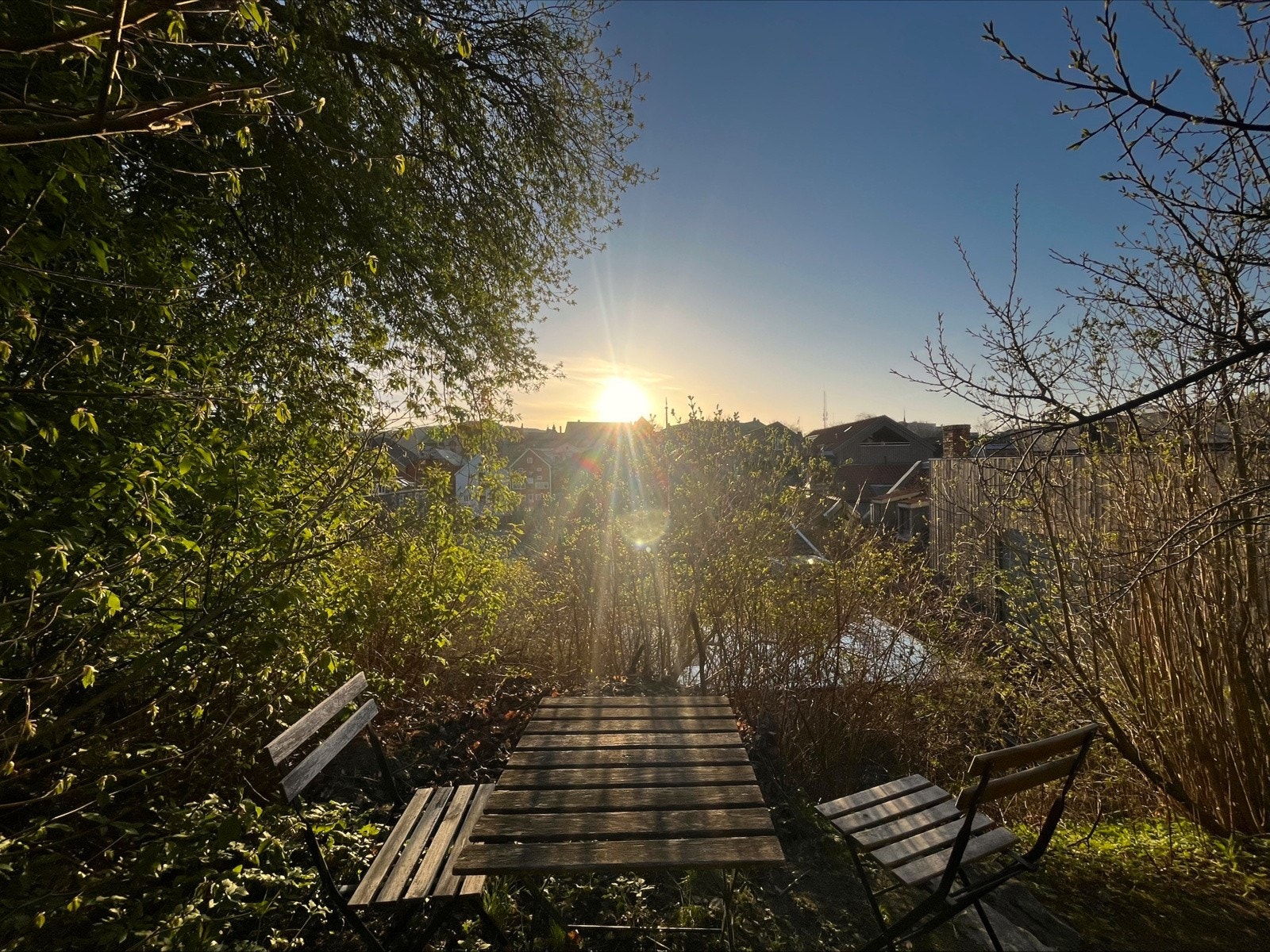 Trivelig uteplass i en frodig hage skjermet for innsyn. Galleribilde