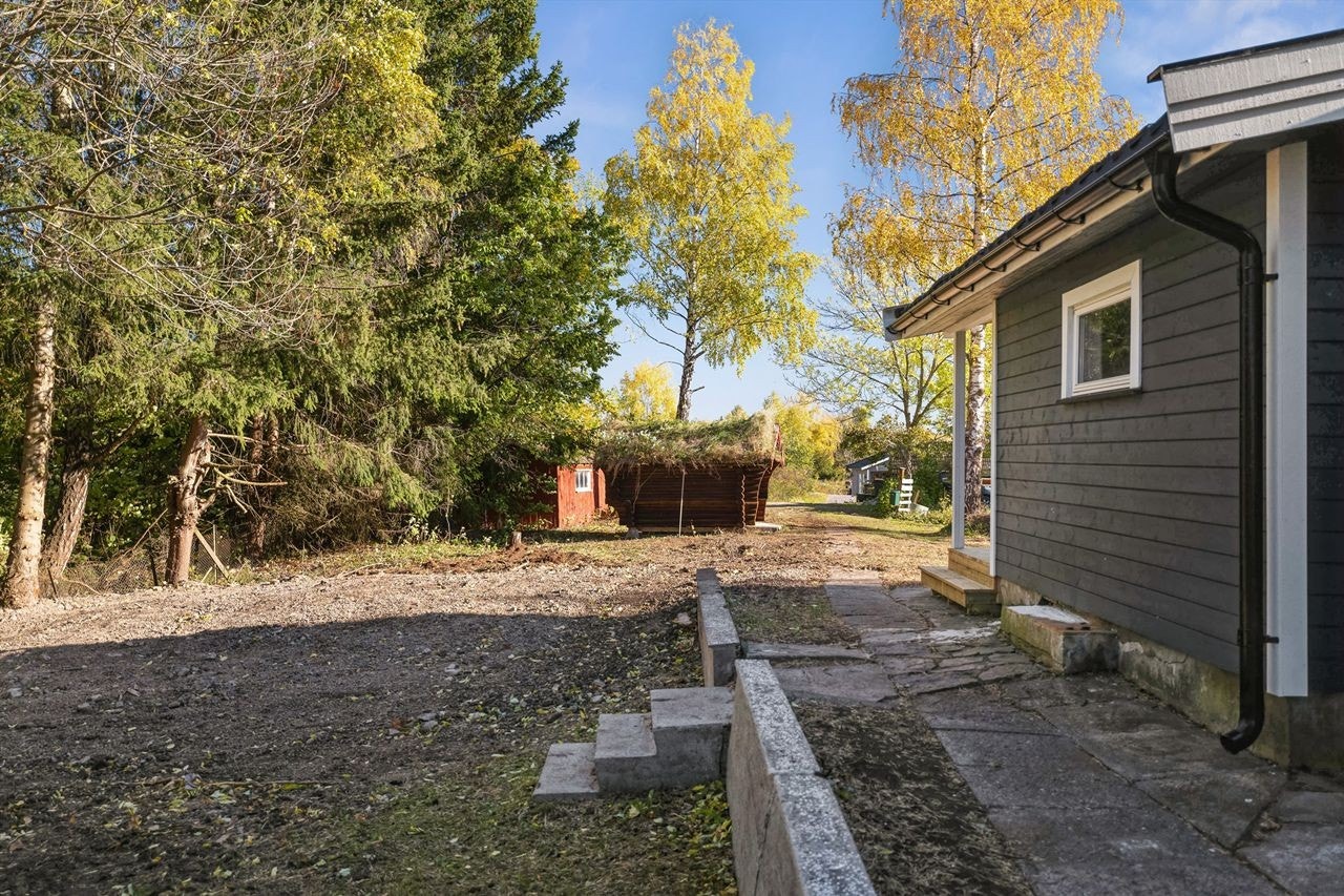 Tomten er nylig ryddet og planert, med mulighet for romslig gårdsplass eller flat plen. Galleribilde