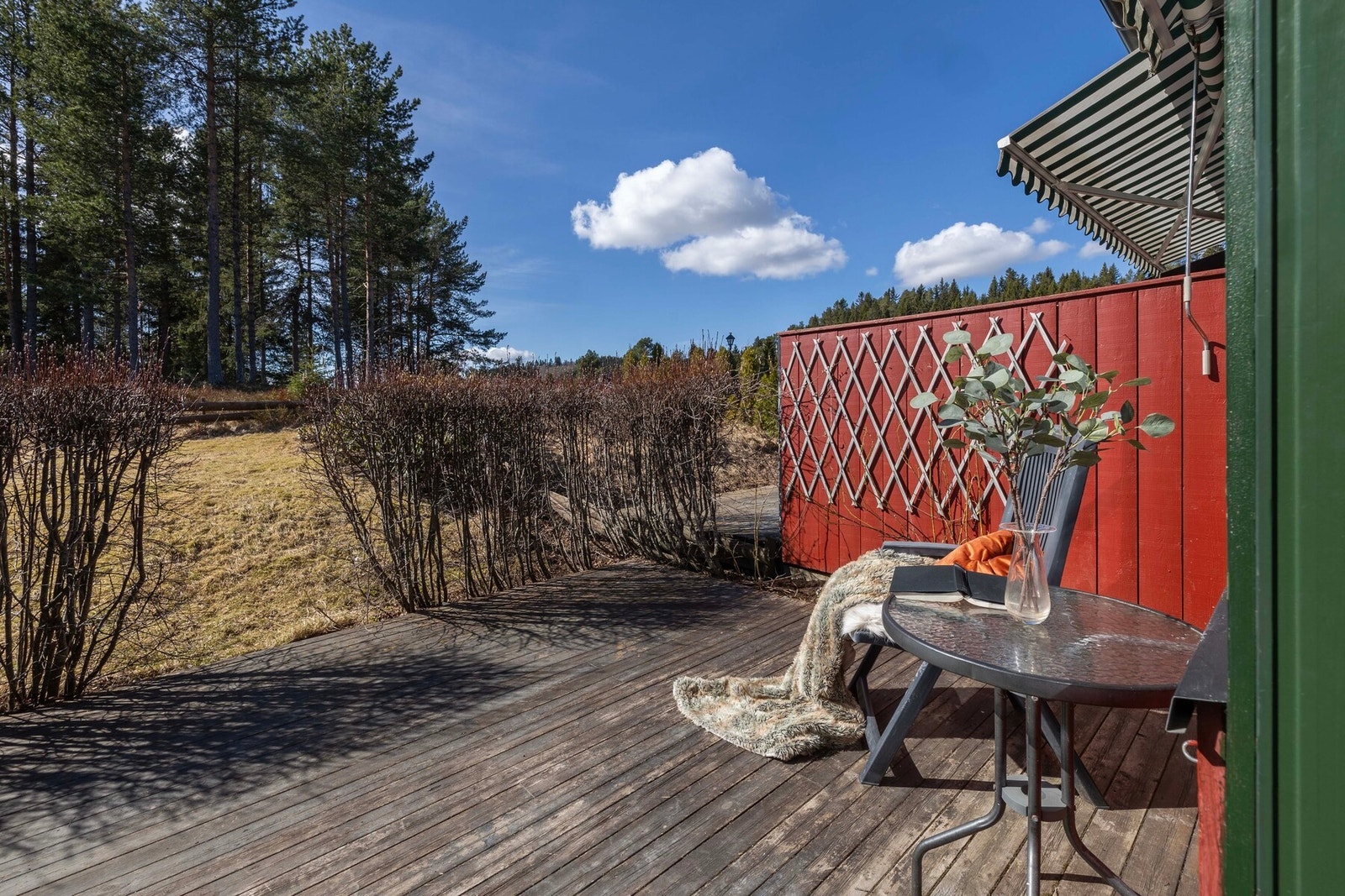 Terrassen og hagen Galleribilde
