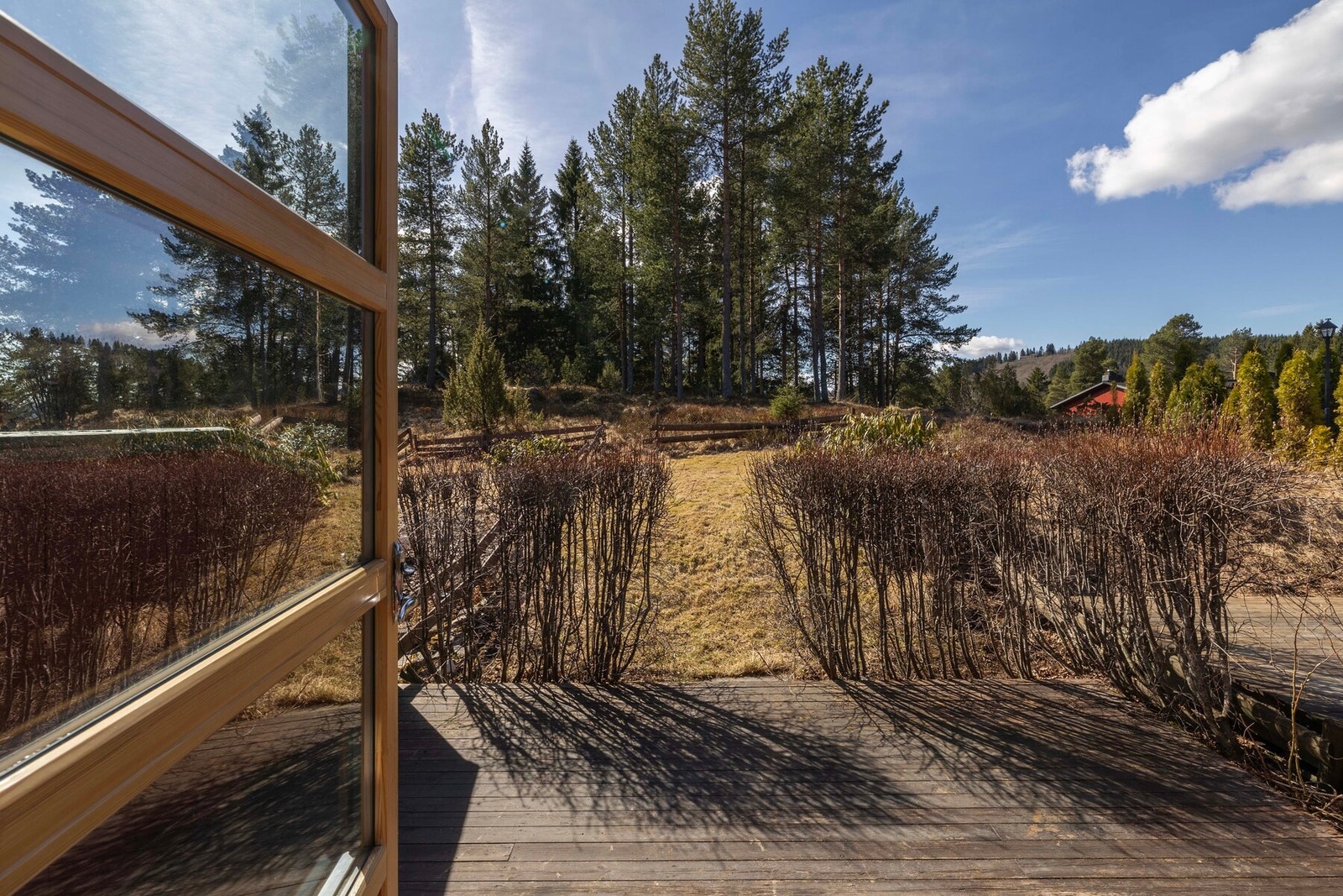 Utgang til solrik terrasse og hage fra stue. Fra hagen, videre ut i skogen. Galleribilde