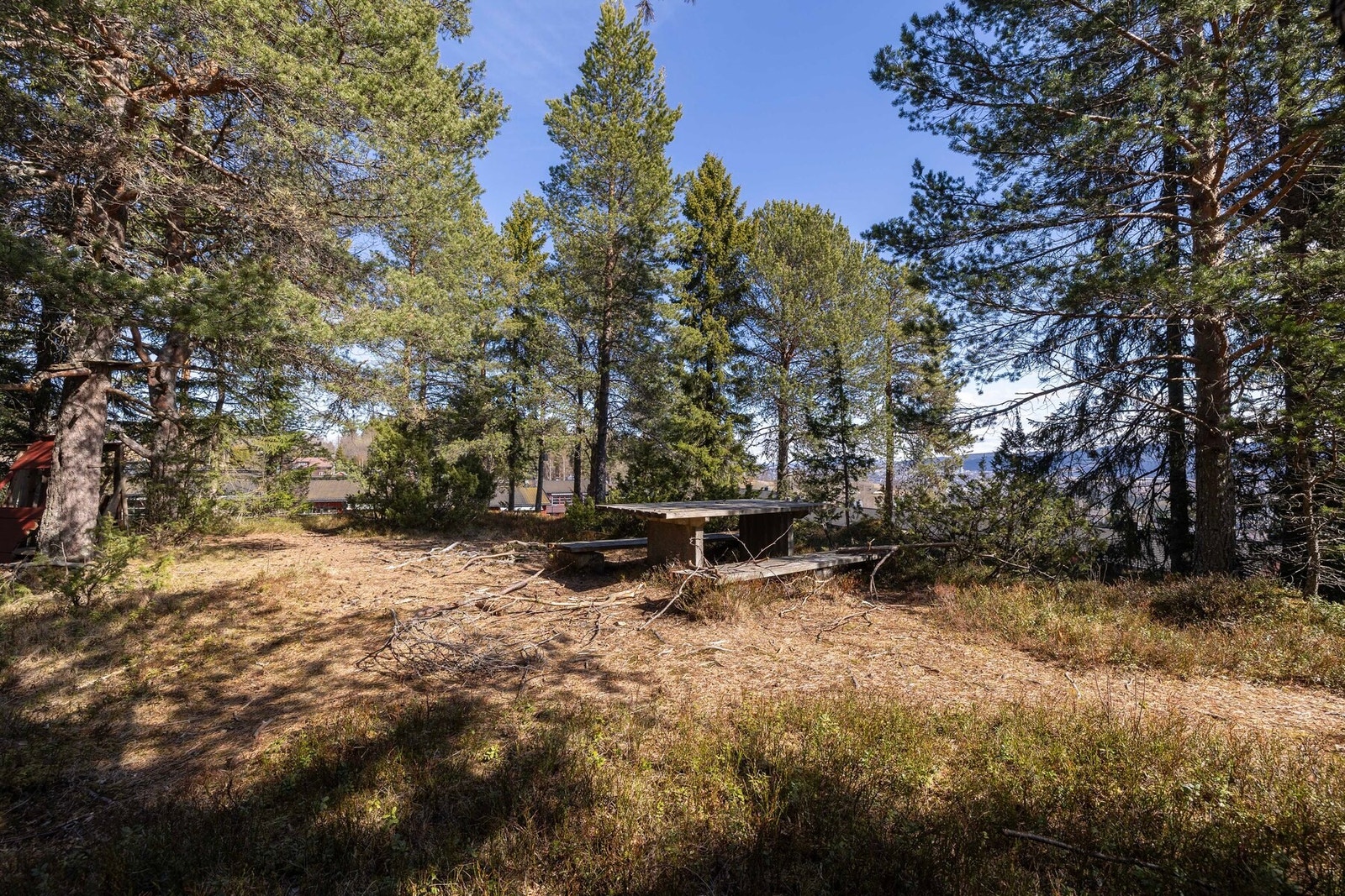 Borettslagets friareal med lekeplass i skogen, rett utenfor hagen boligen. Galleribilde