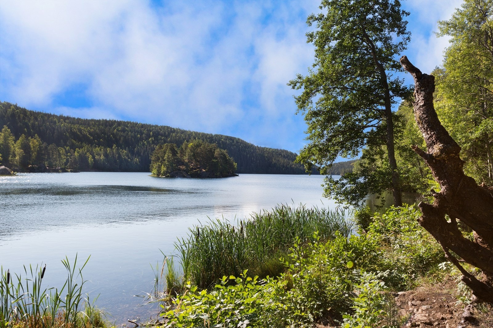 Lutvann er et yndet sted for naturopplevelser og rekreasjon med sandstrand. Galleribilde