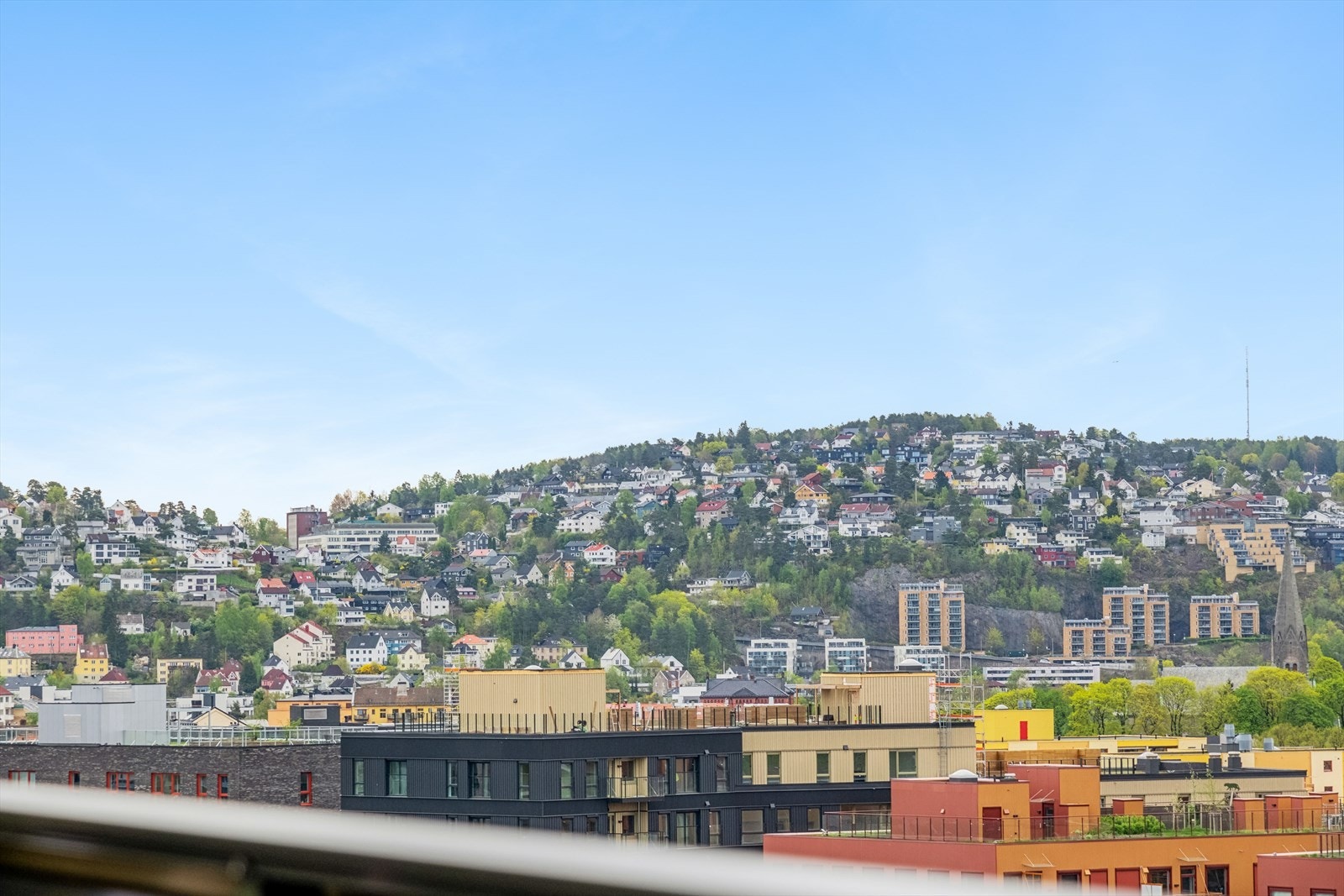 Fantastisk og fri utsikt opp mot Ekebergskrenten. Galleribilde