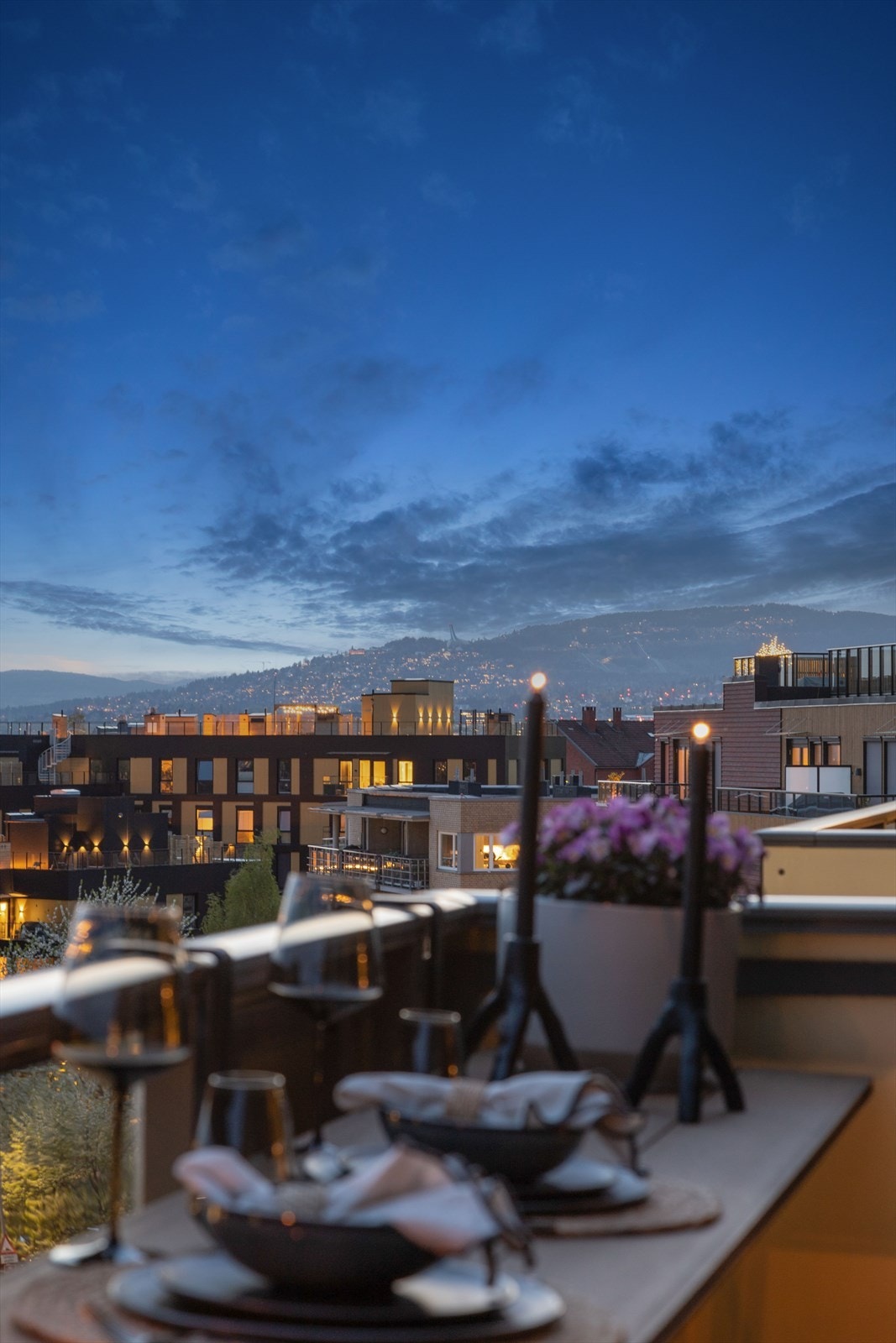 Usjenert bolig og ingen innsyn fra naboer. Her ser du opp mot Holmenkollen. Galleribilde