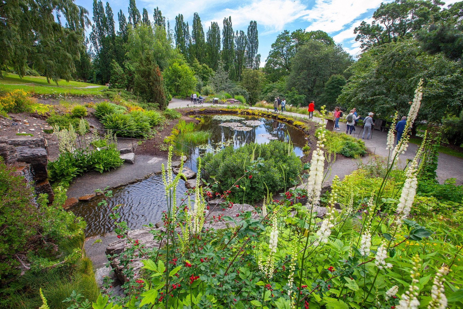 Botanisk hage. Galleribilde