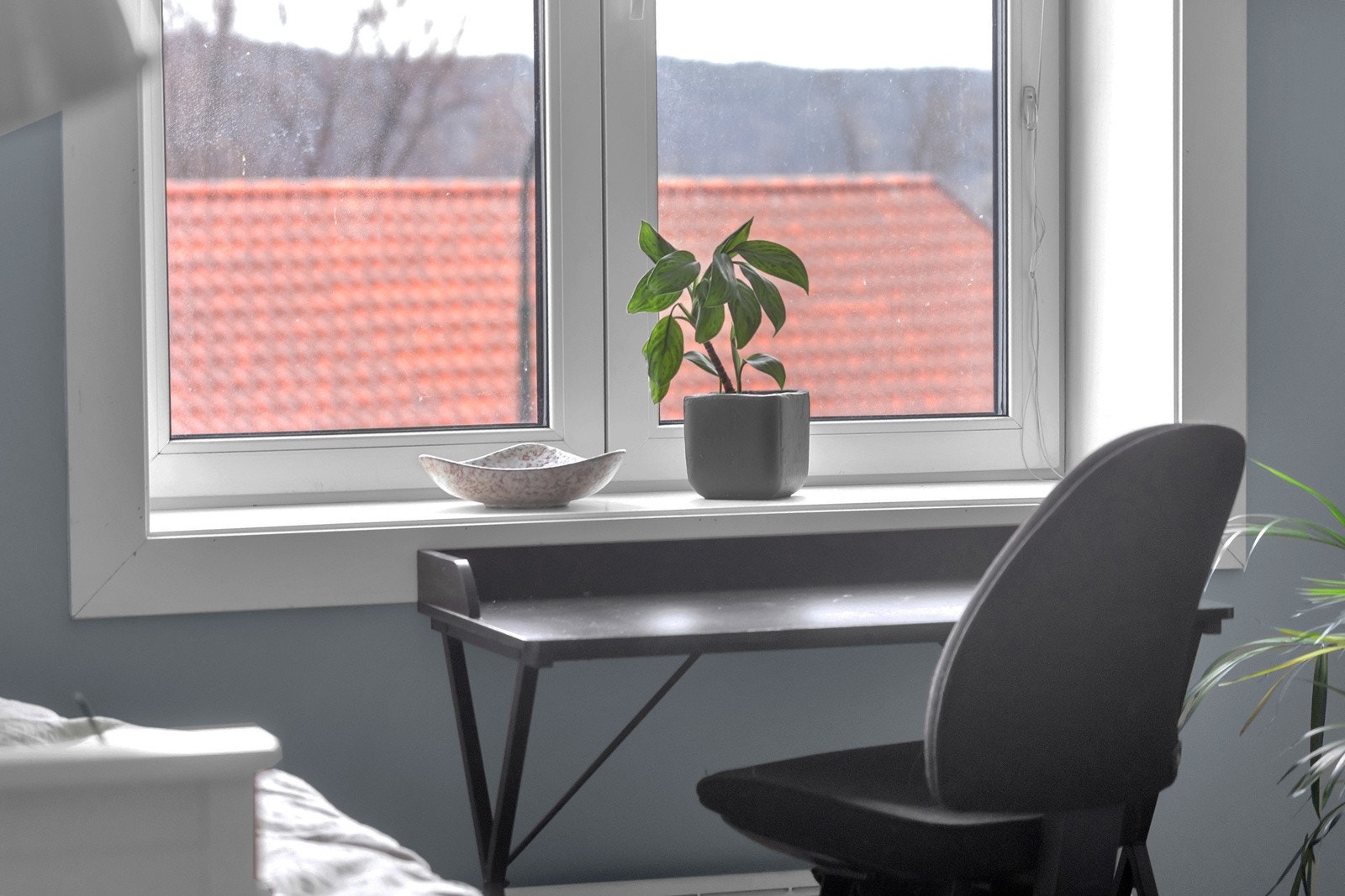 Mye lysinnslipp fra vindusflaten Galleribilde