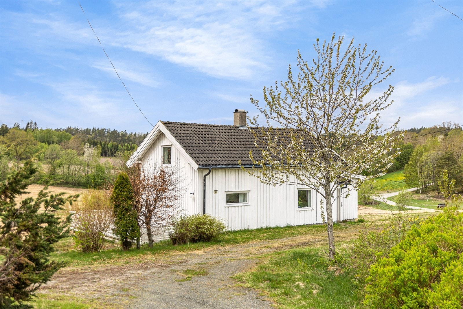 Velkommen til Skallebergveien 389! Galleribilde